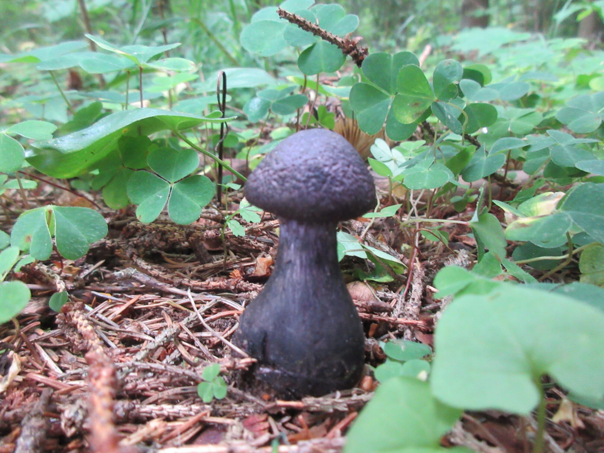 Valokuvaaja: Terttu Rantanen