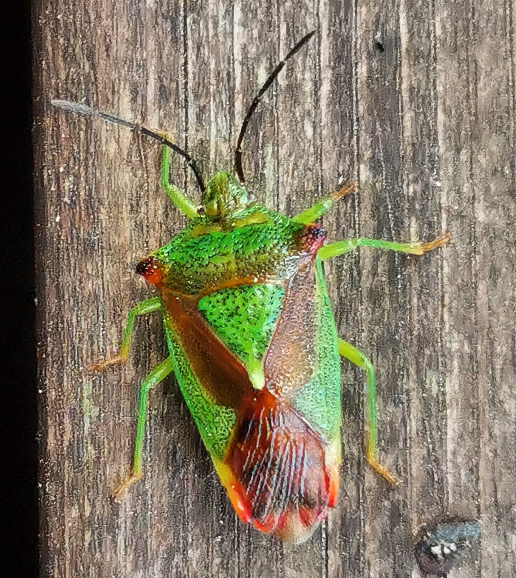 Valokuvaaja: Tapio Keinonen