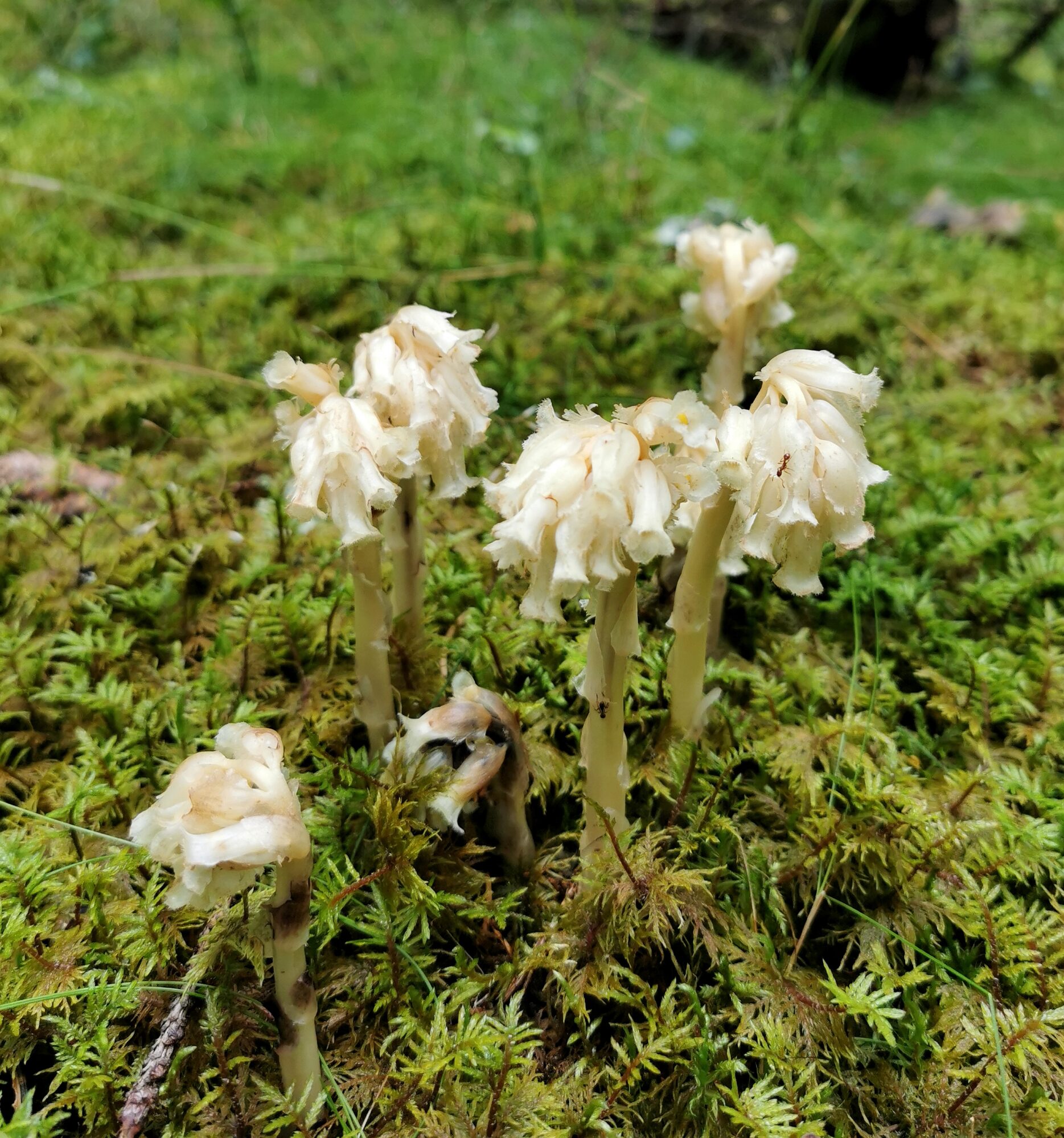 Valokuvaaja: Satu Kuningas