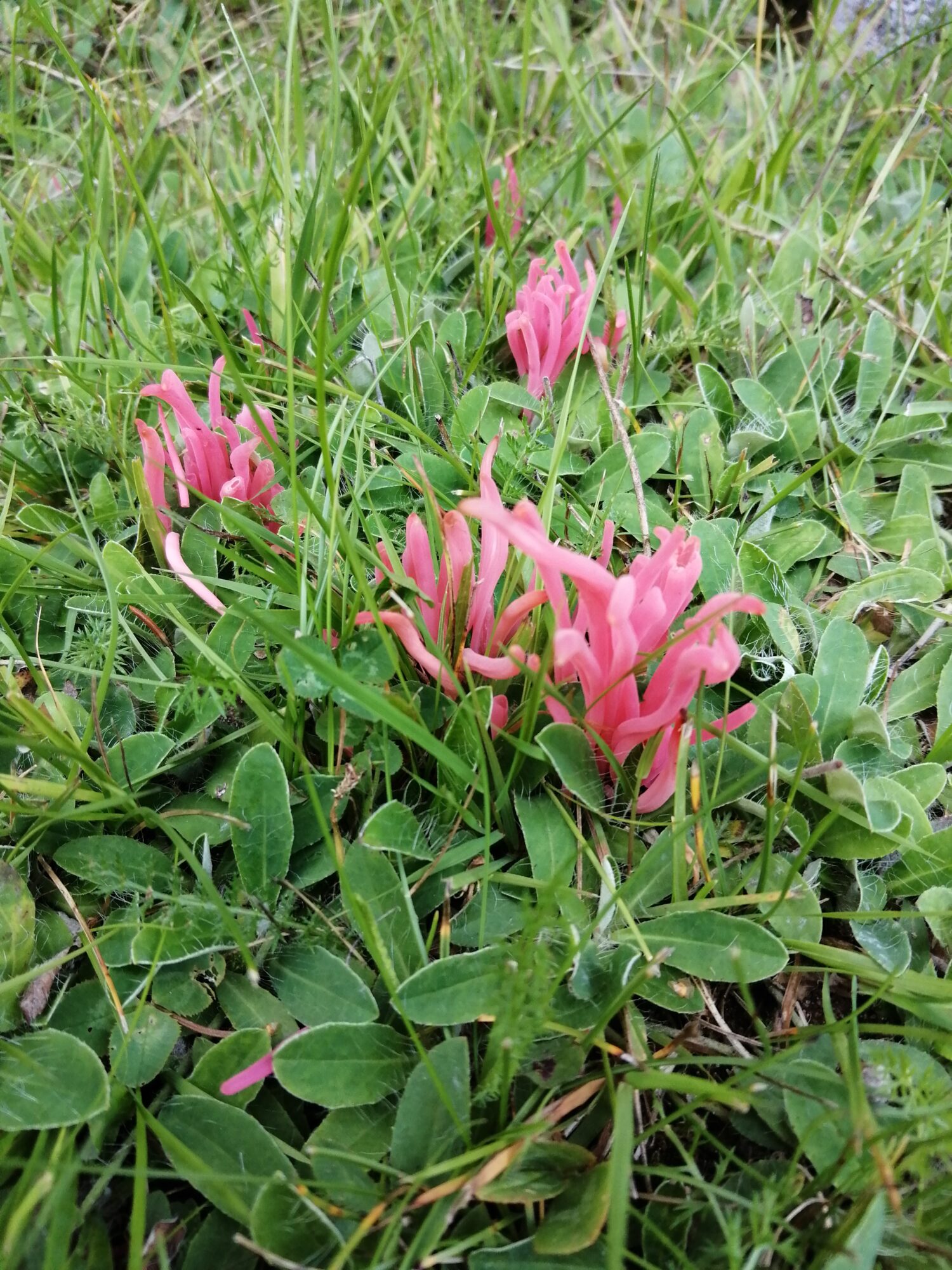 Valokuvaaja: Mirva Natunen-isohaka