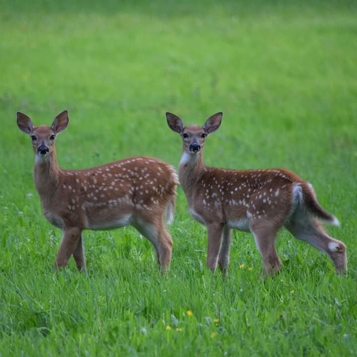 Valokuvaaja: Riitta Marjamäki Valokuvaaja: Riitta Marjamäki