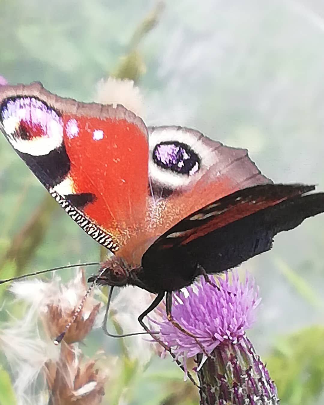 Valokuvaaja: Sari Viemerö