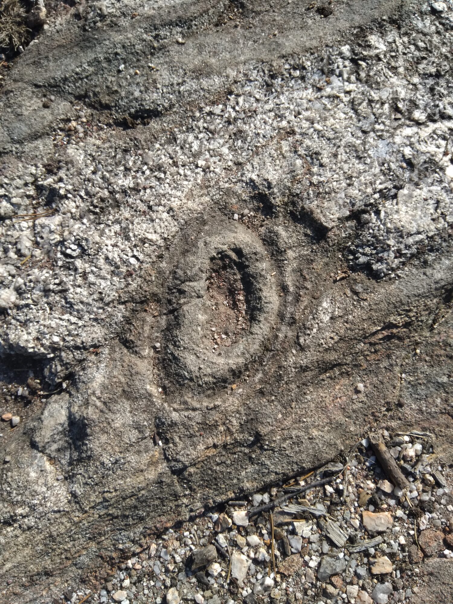 Valokuvaaja: Olli Karppijärvi