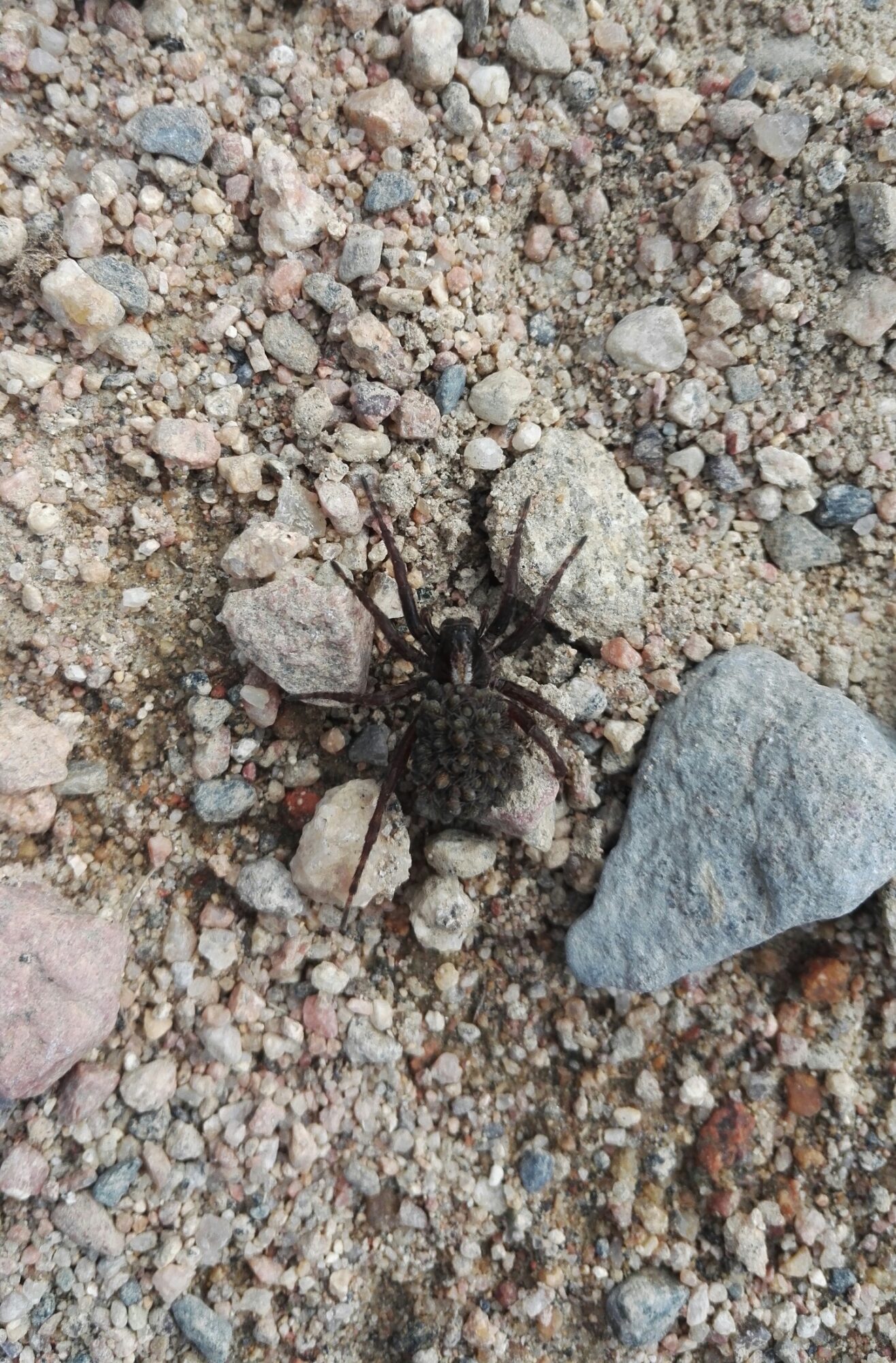 Valokuvaaja: Annamari Koskenhely