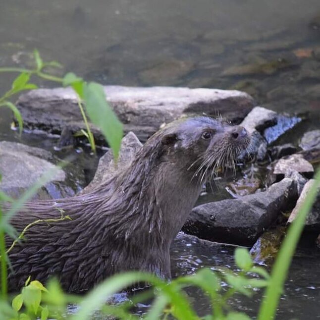 Valokuvaaja: Riitta Marjamäki