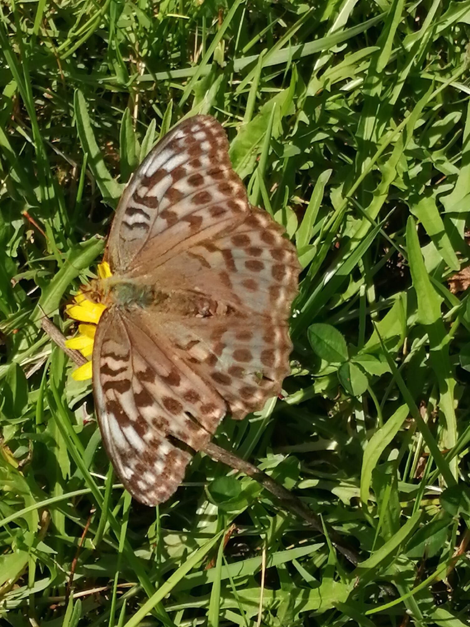 Valokuvaaja: Sari Kaisto