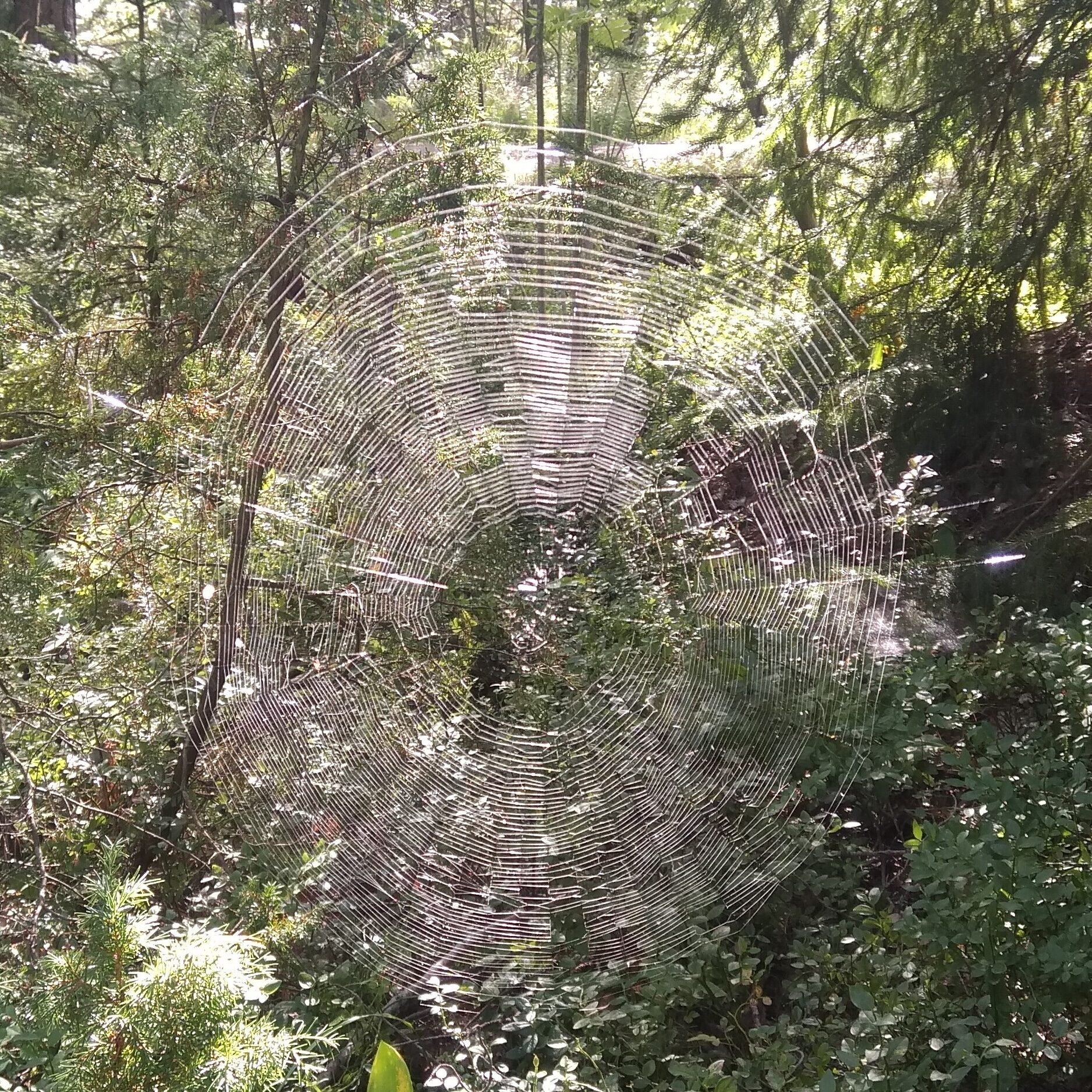 Valokuvaaja: Olli Karppijärvi