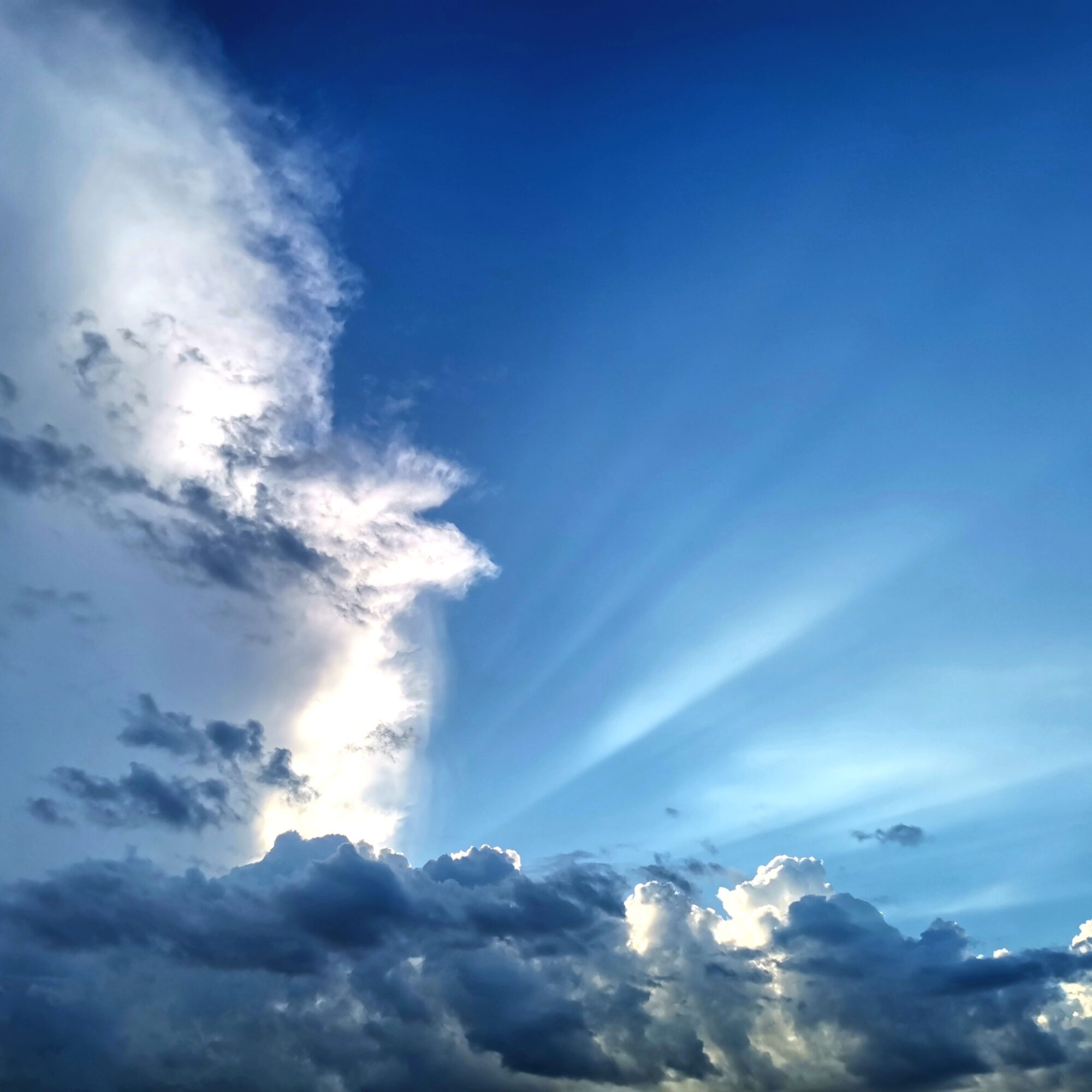 Valokuvaaja: Tapio Keinonen