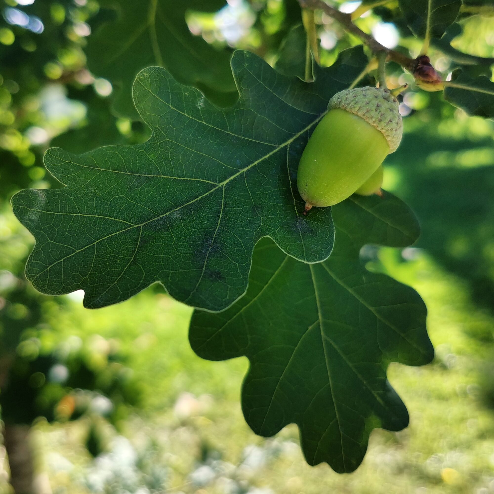 Valokuvaaja: Tapio Keinonen
