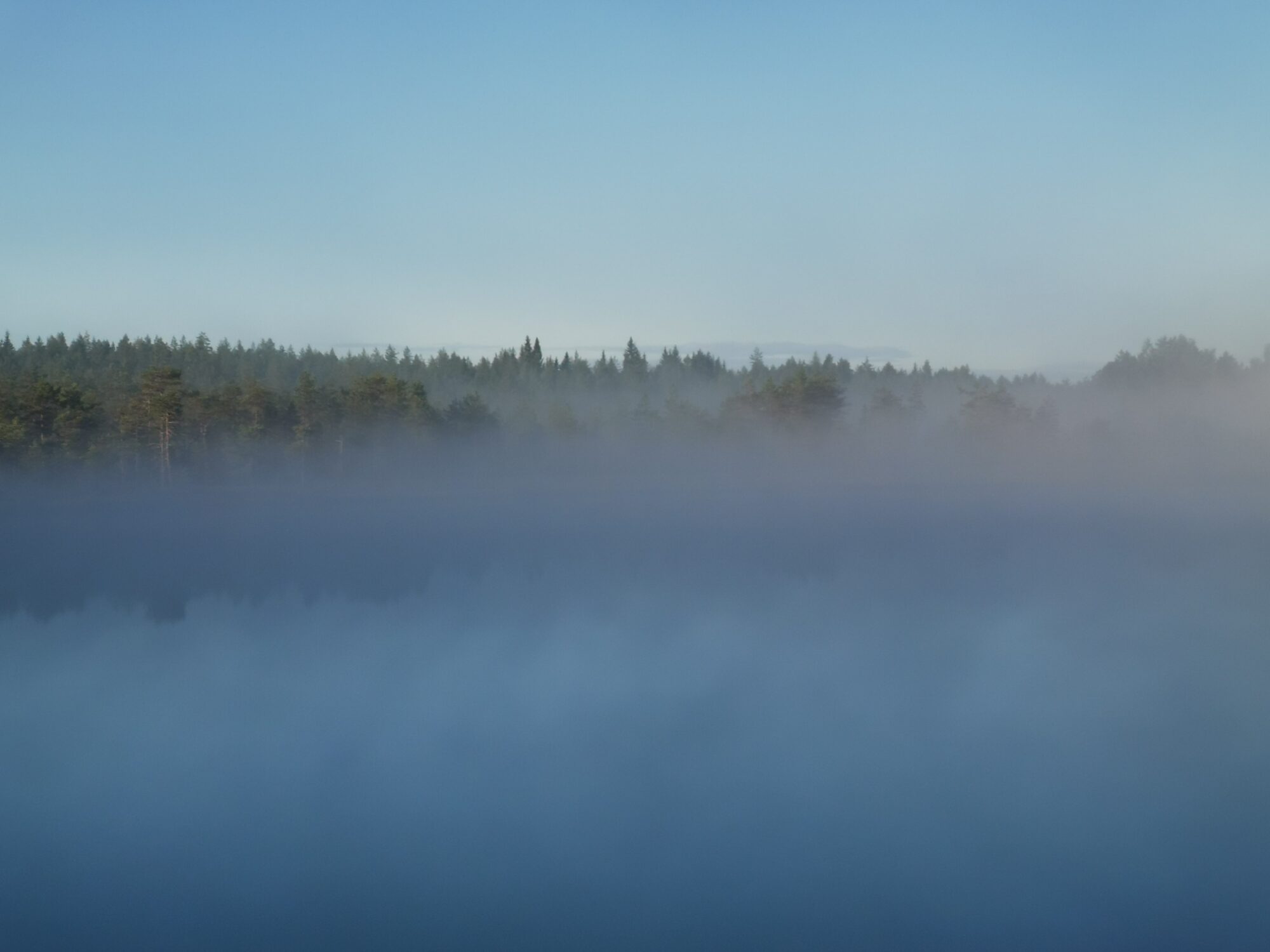Valokuvaaja: Tapio Keinonen