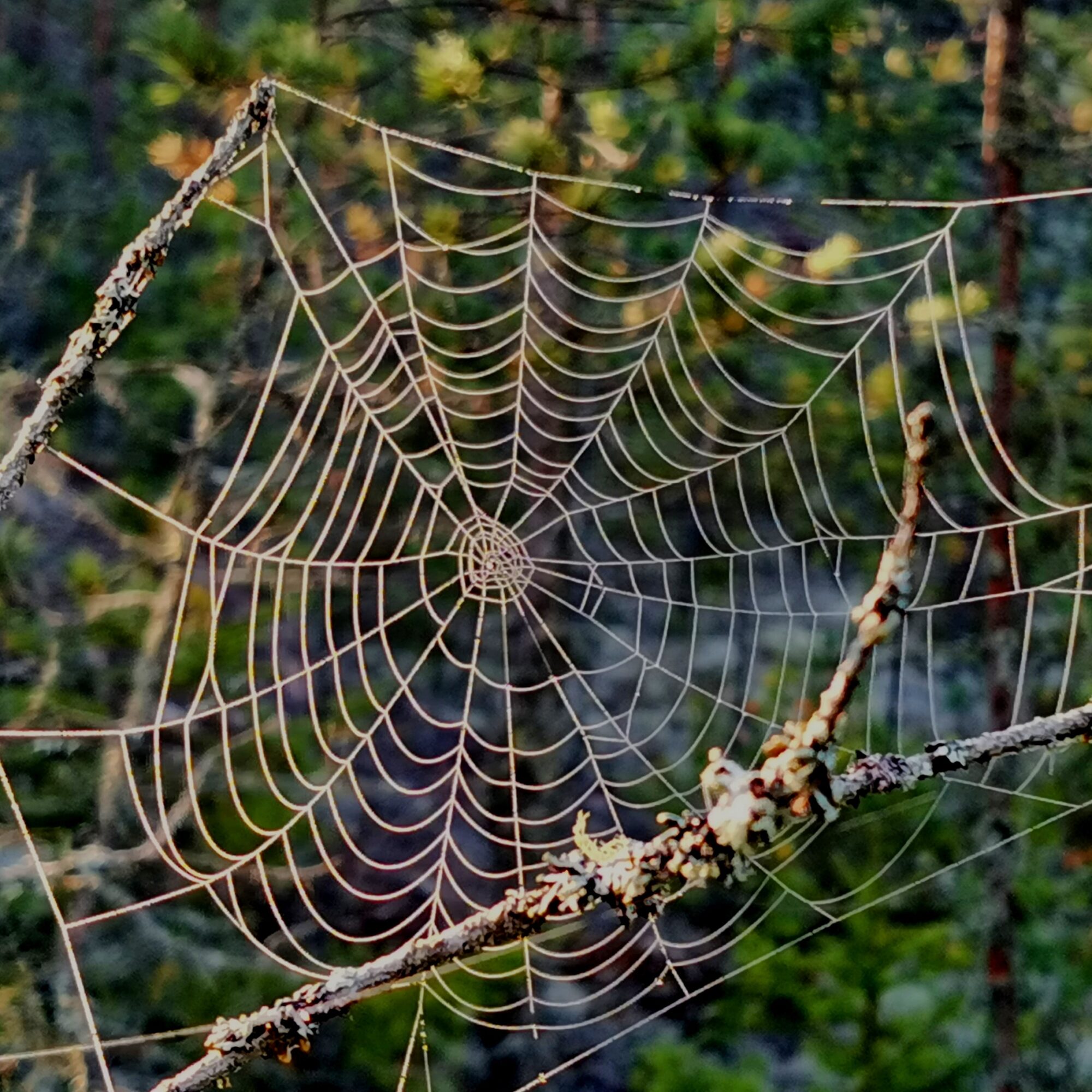 Valokuvaaja: Tapio Keinonen
