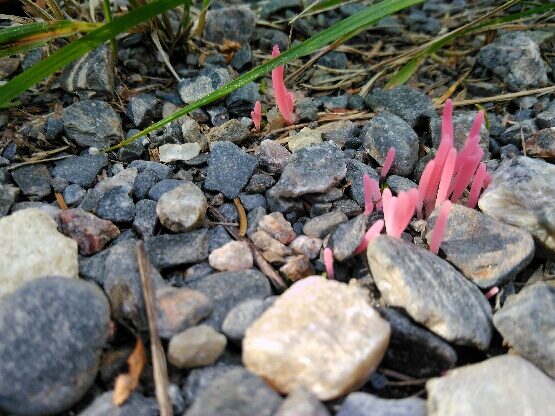 Valokuvaaja: Raino Lipponen