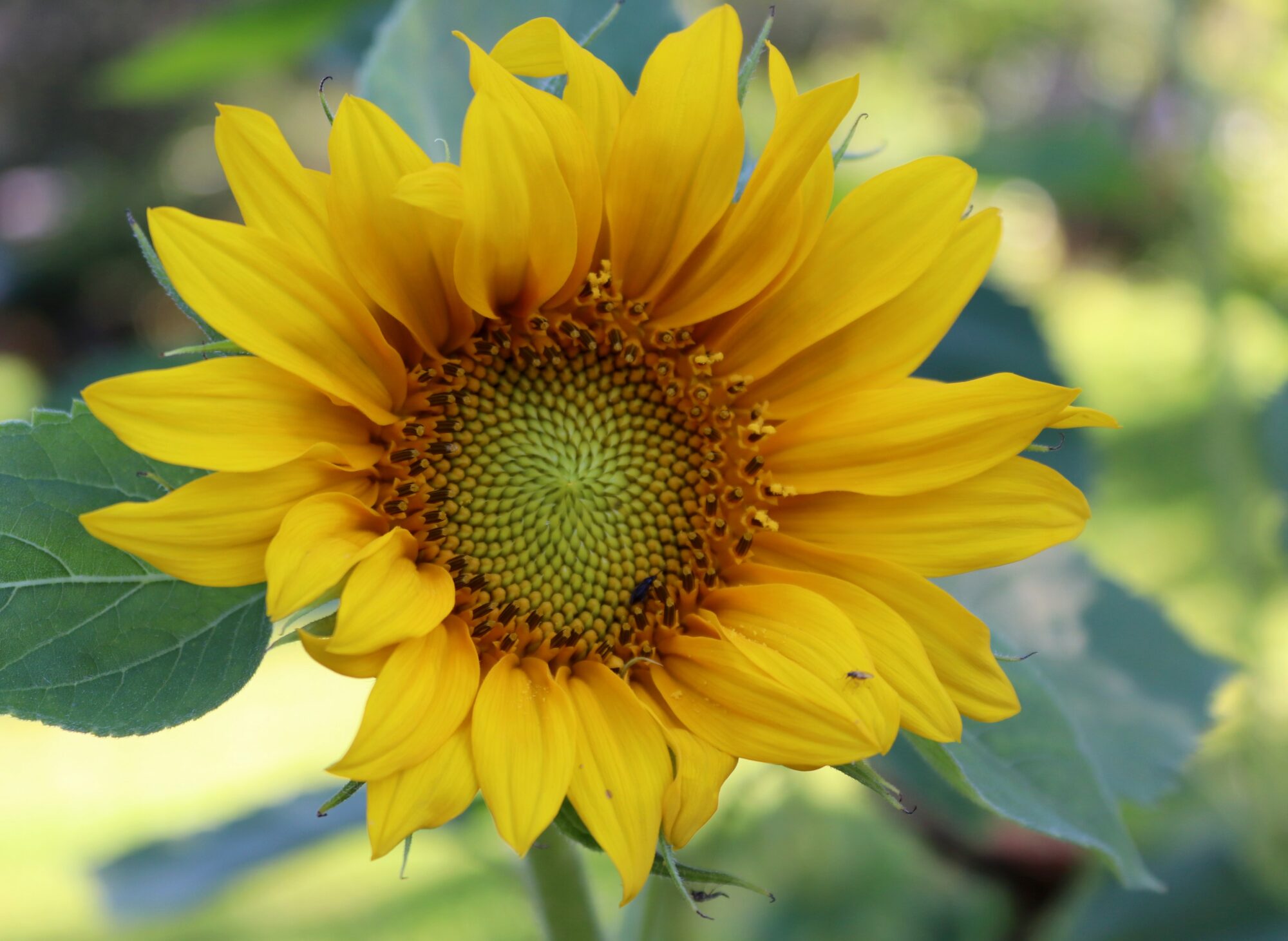 Valokuvaaja: Irja Lehtinen