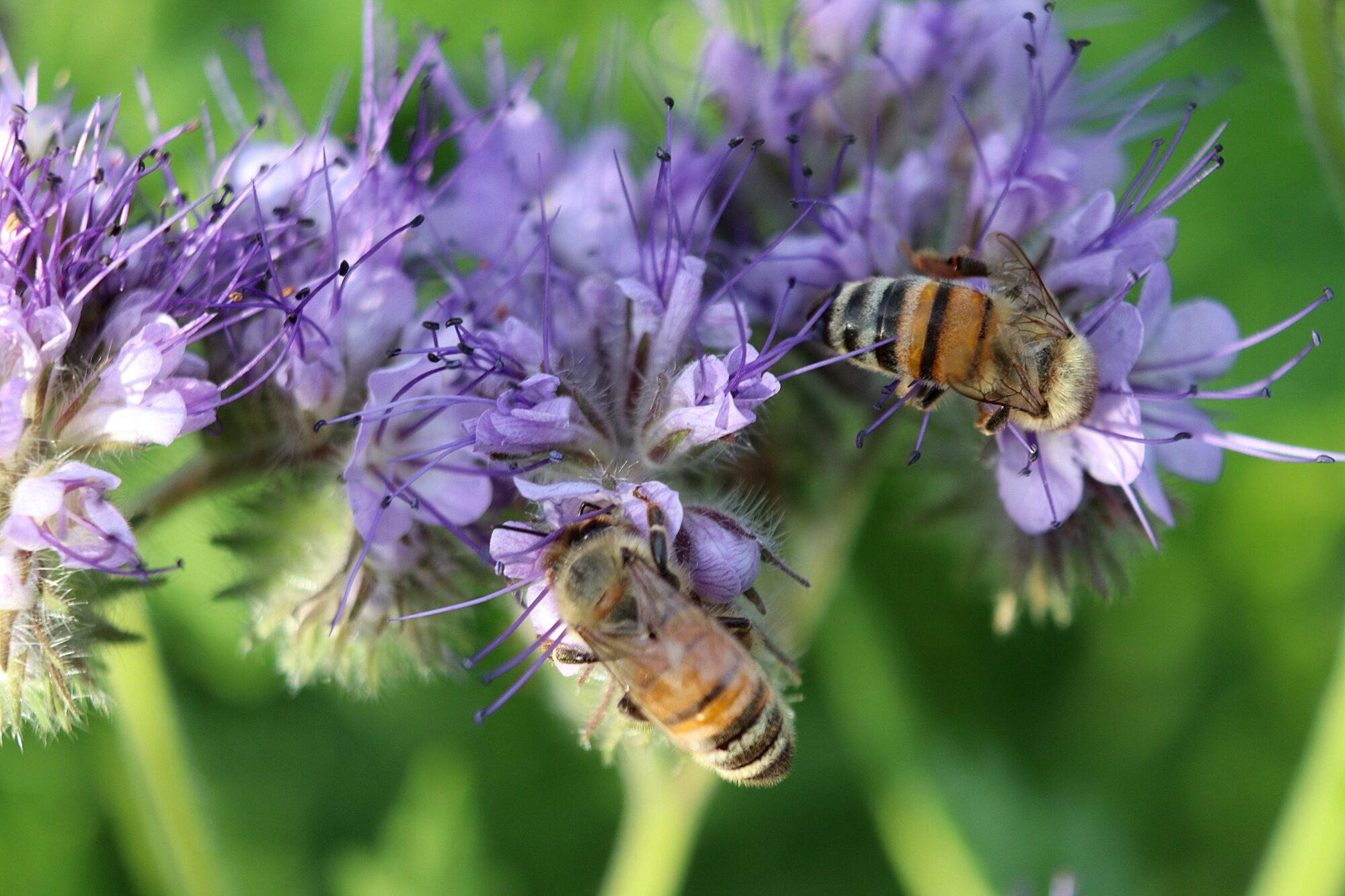 Valokuvaaja: Irja Lehtinen