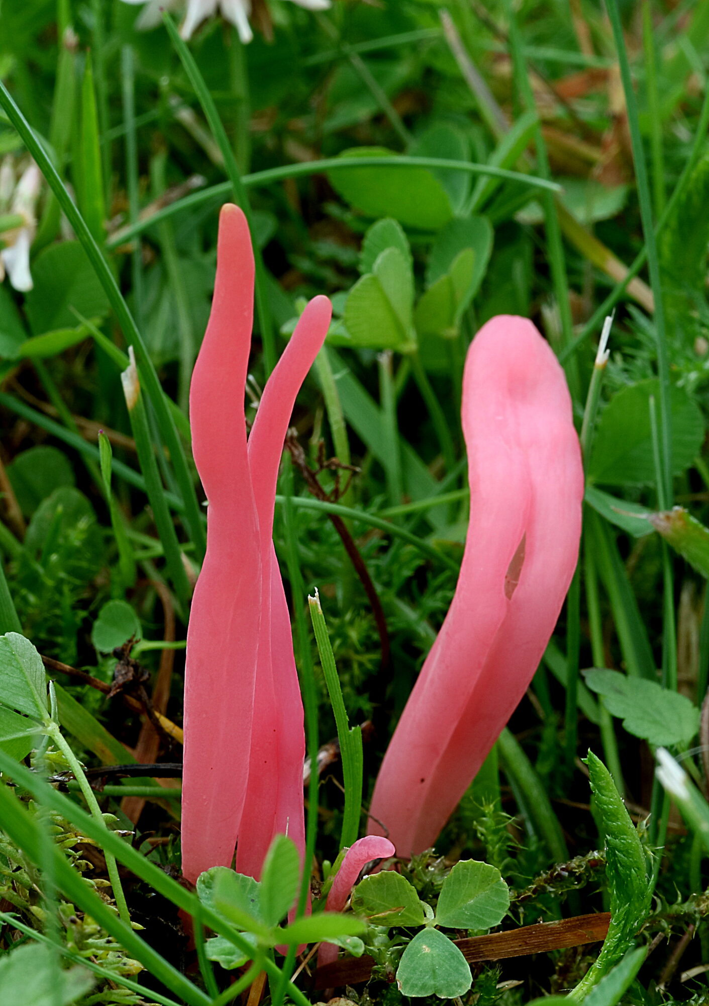 Valokuvaaja: Hannu. Rasiranta Valokuvaaja: Hannu. Rasiranta