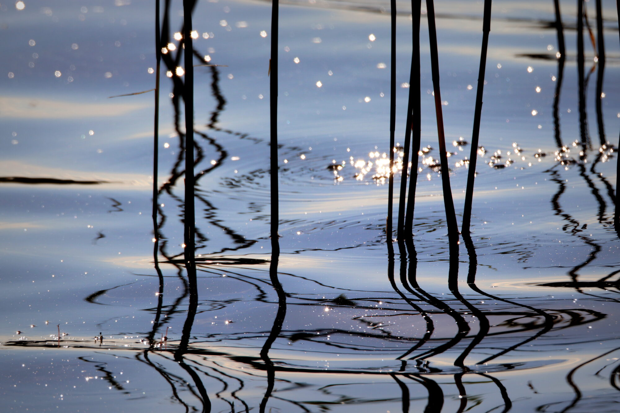 Valokuvaaja: Irja Lehtinen