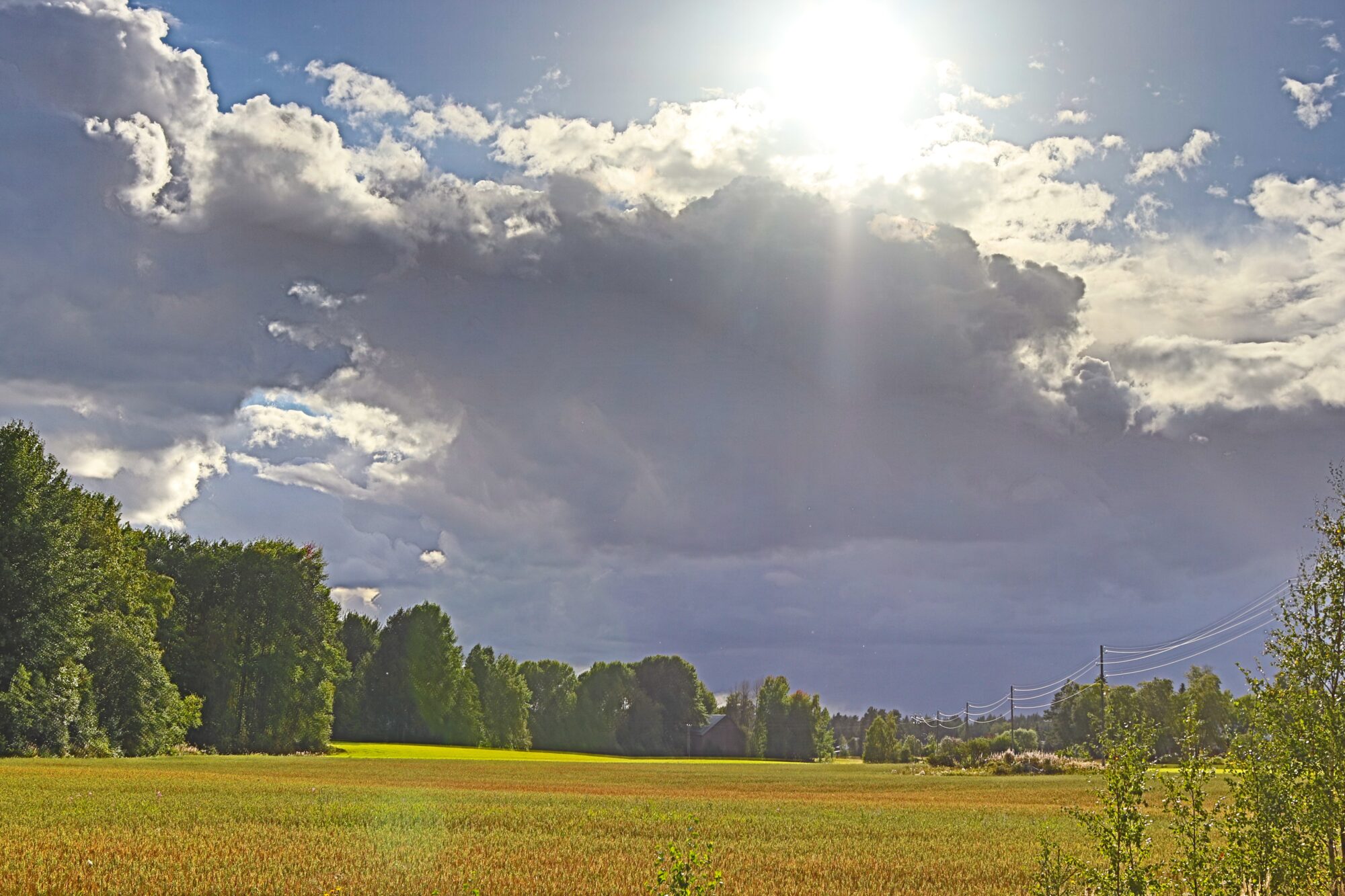Valokuvaaja: Irja Lehtinen