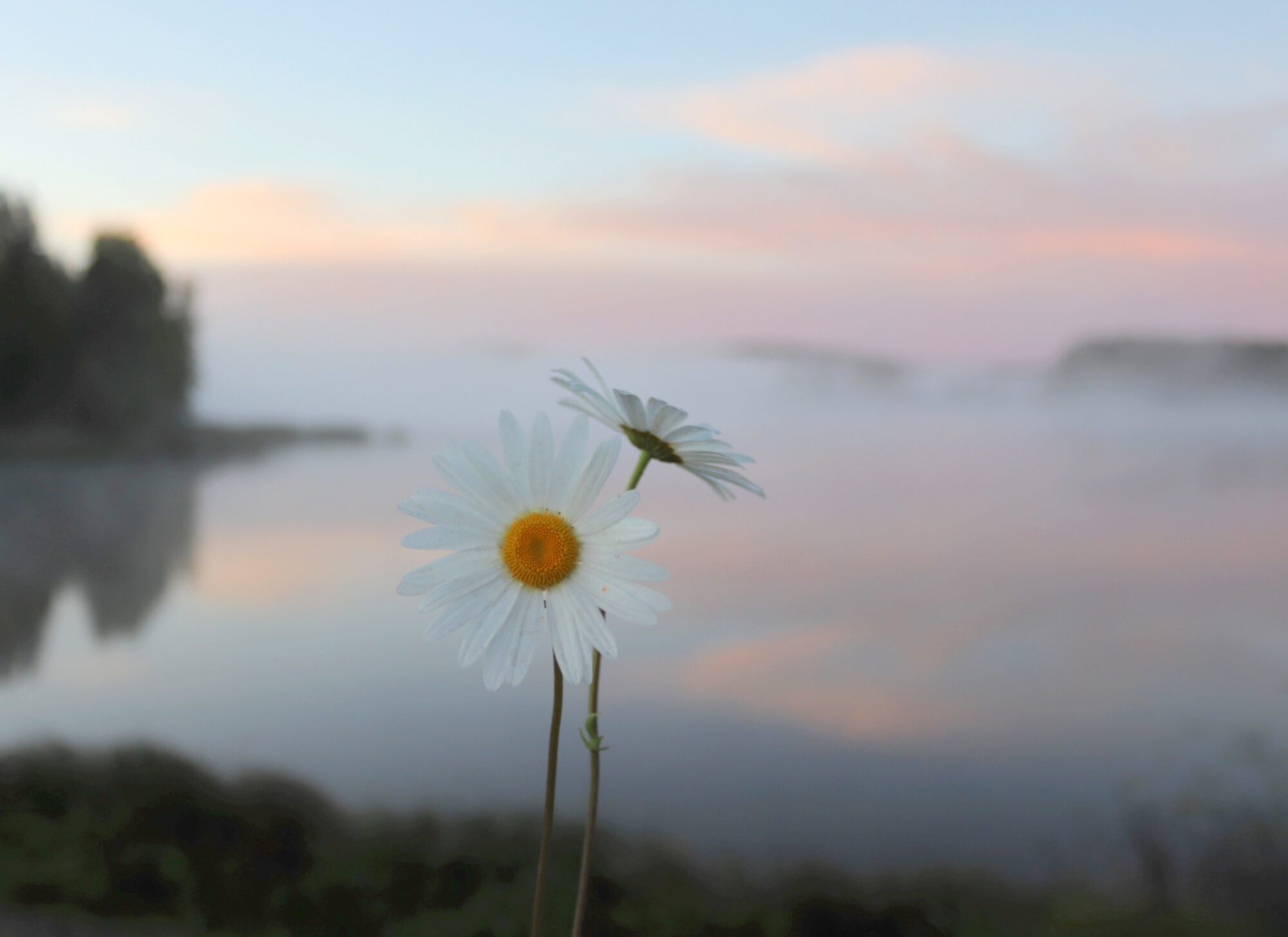 Valokuvaaja: Irja Lehtinen