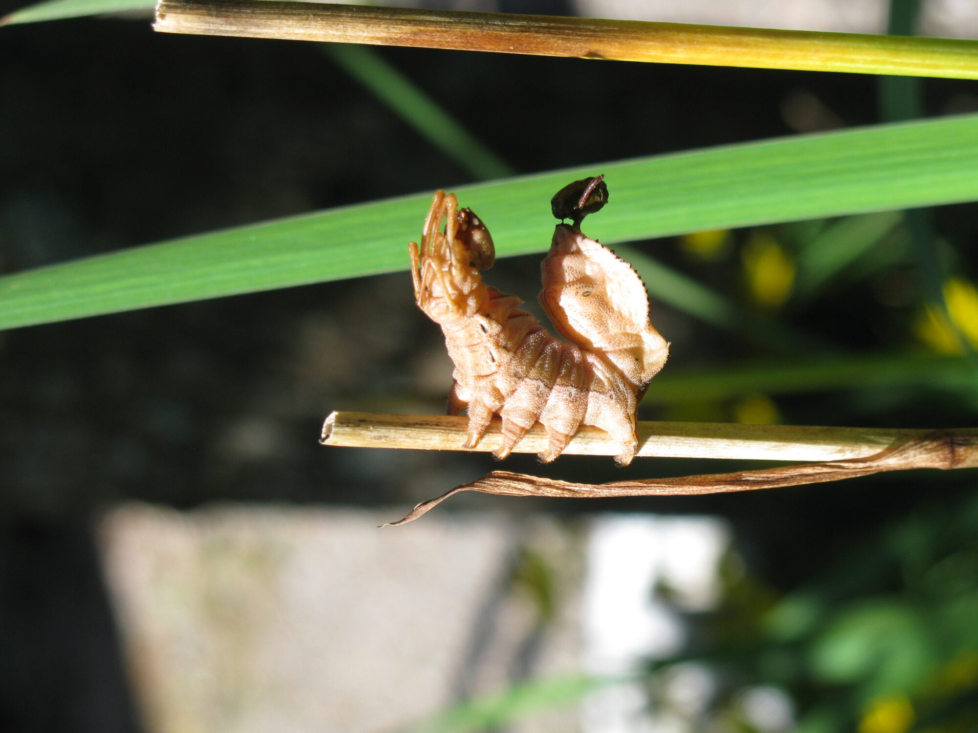 Valokuvaaja: Nina Tukiainen