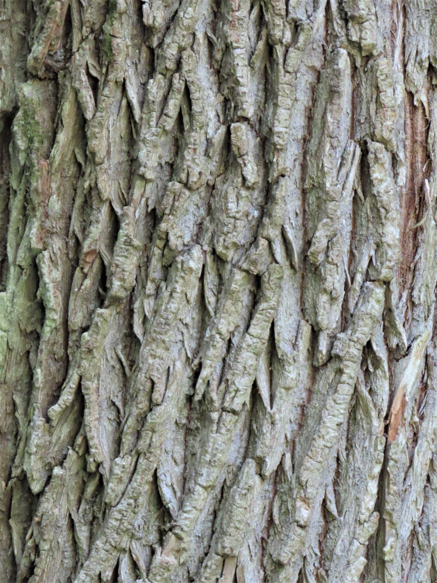 Valokuvaaja: Birgit Silvennoinen