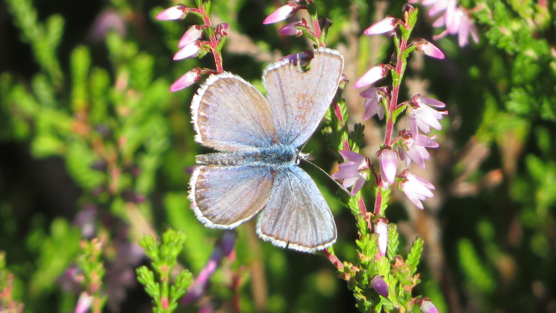 Valokuvaaja: Risto Kangassalo