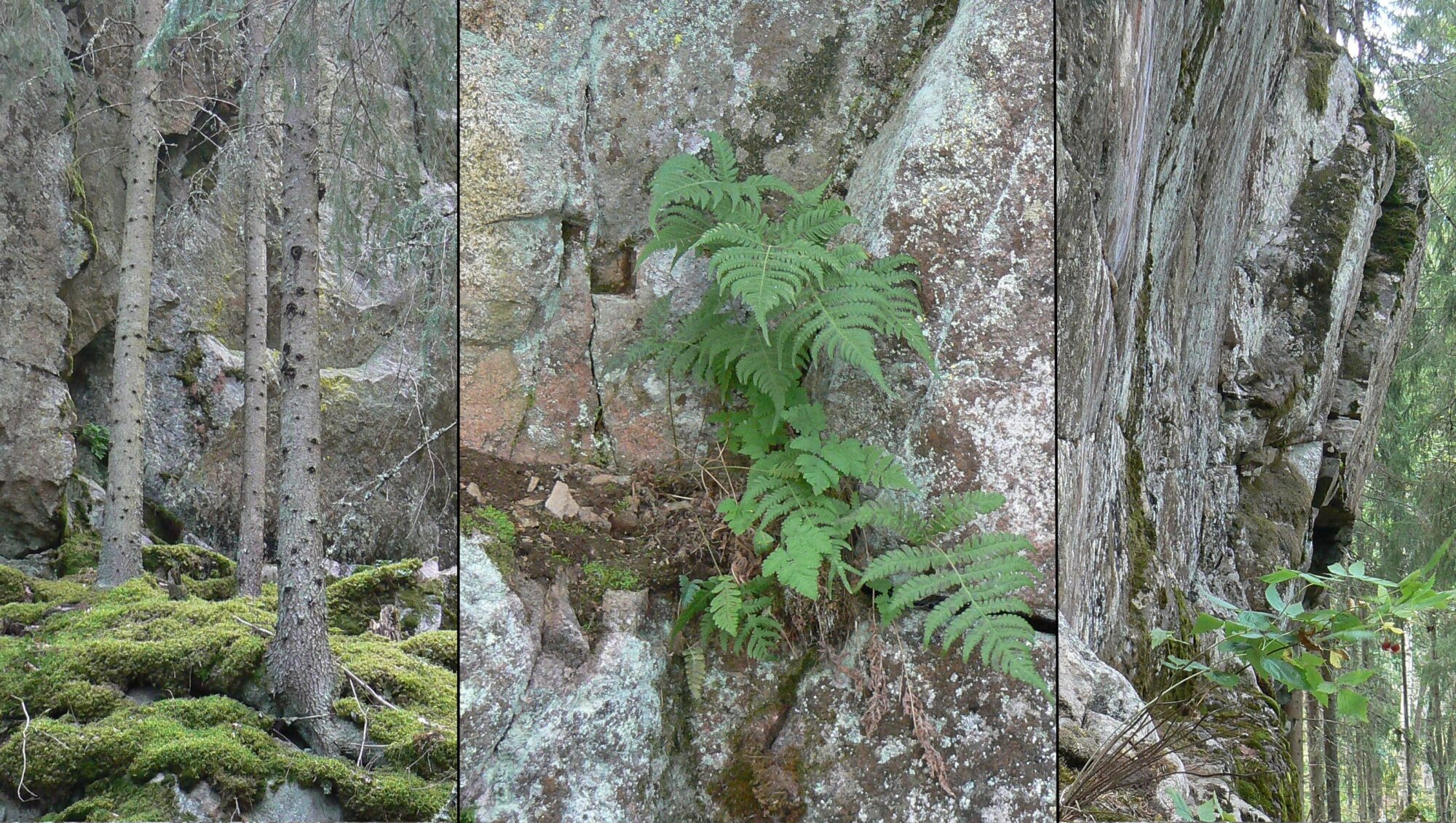 Valokuvaaja: Pekka Heino