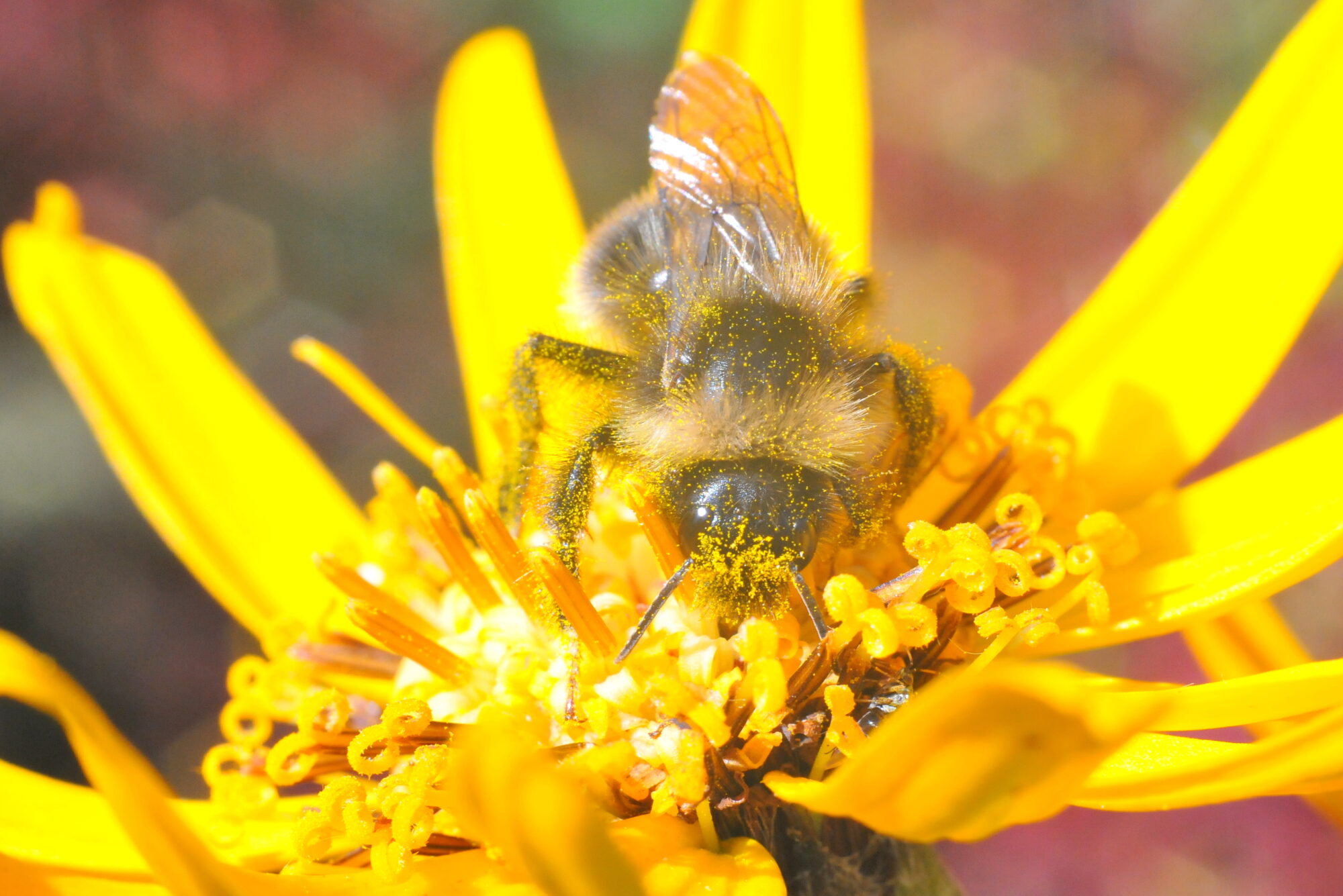 Valokuvaaja: Kaarlo Asikainen