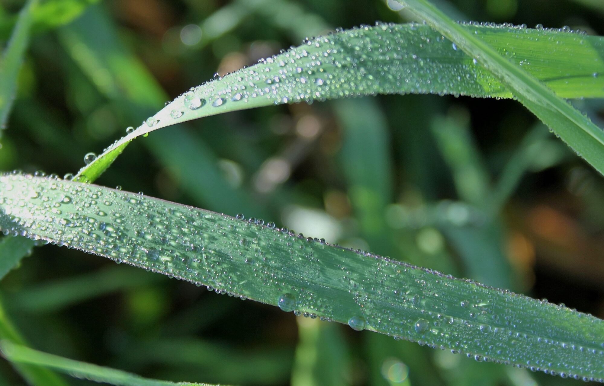 Valokuvaaja: Pirkko Siukonen