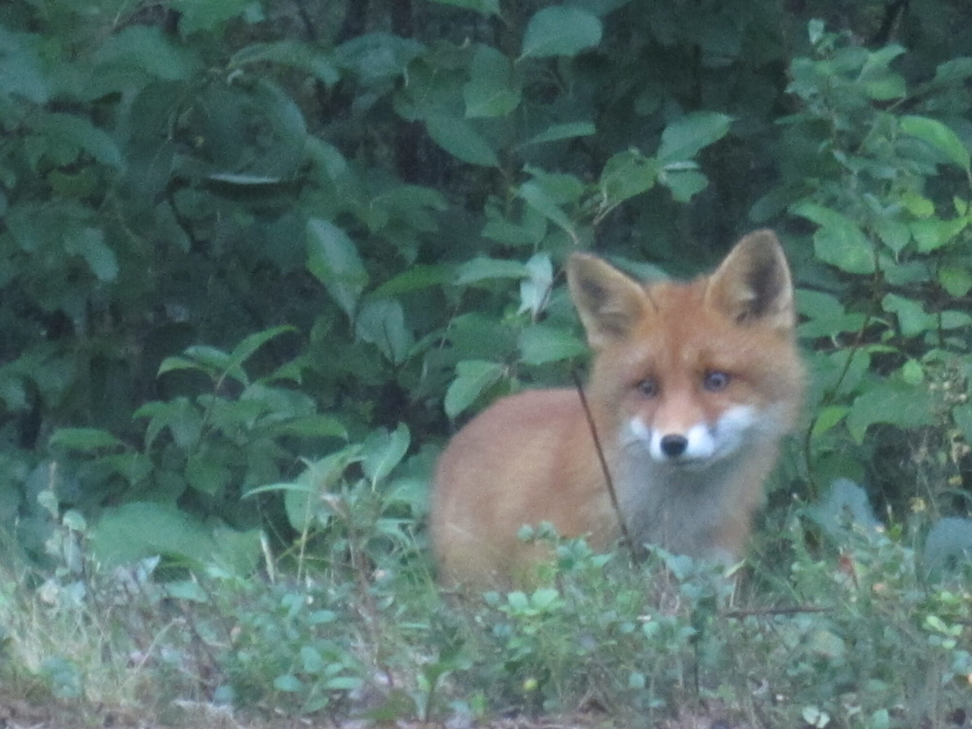 Valokuvaaja: Marita Portin