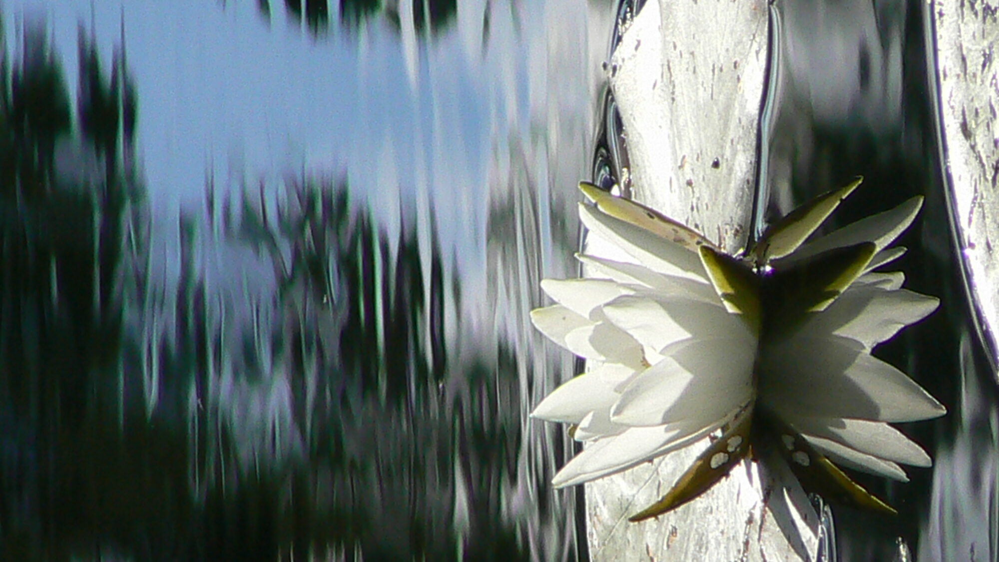 Valokuvaaja: Pekka Heino
