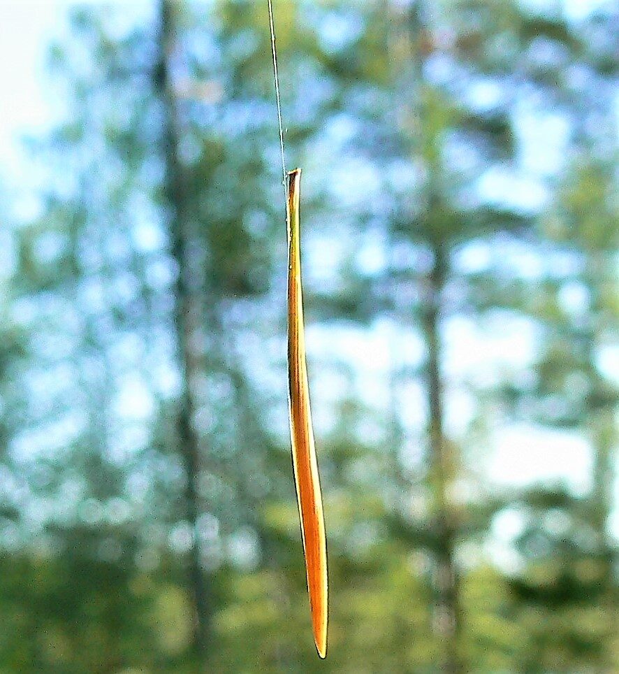 Valokuvaaja: Pekka Heino