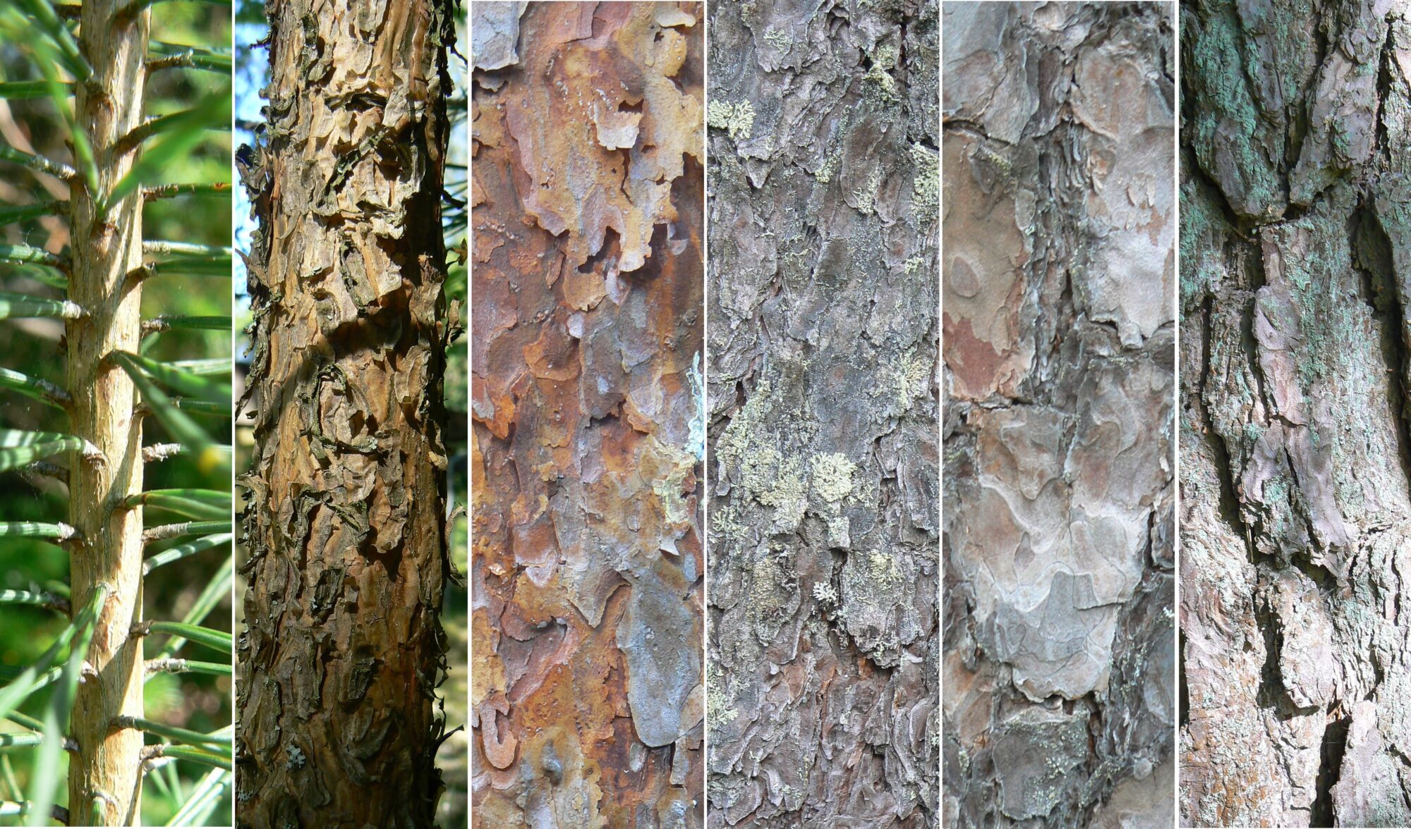 Valokuvaaja: Pekka Heino