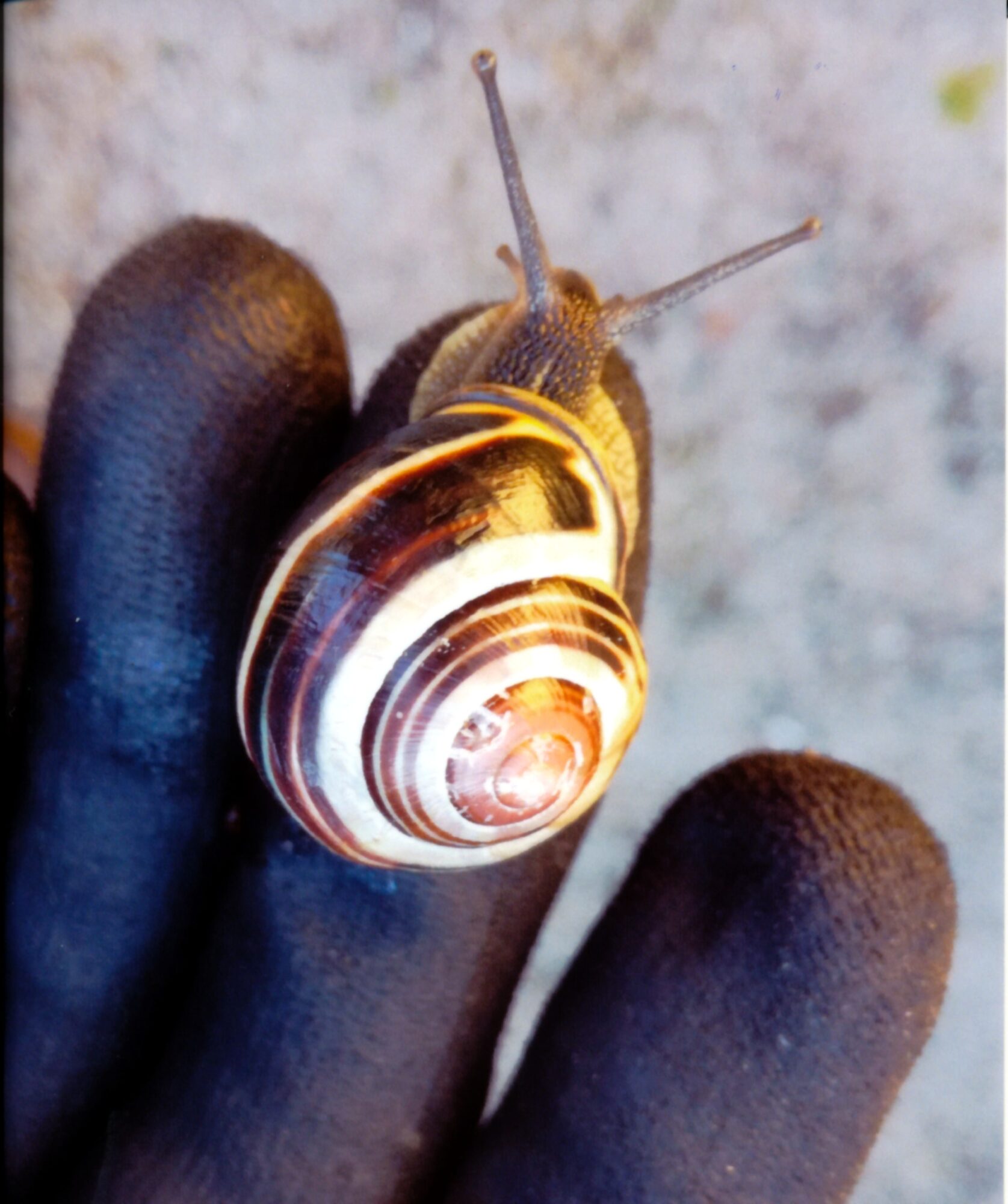 Valokuvaaja: Veikko Puska