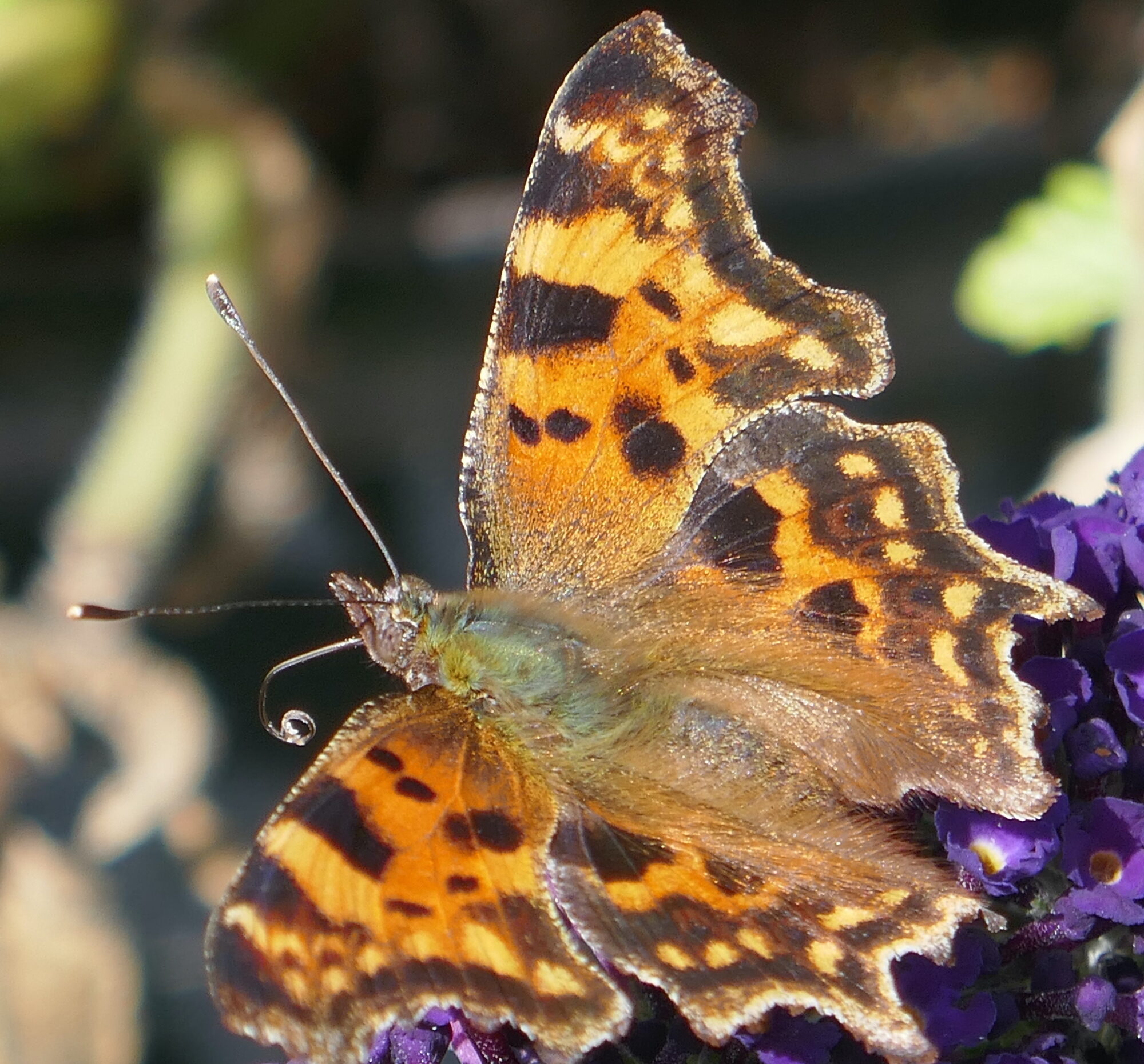 Valokuvaaja: Marjut Ikonen