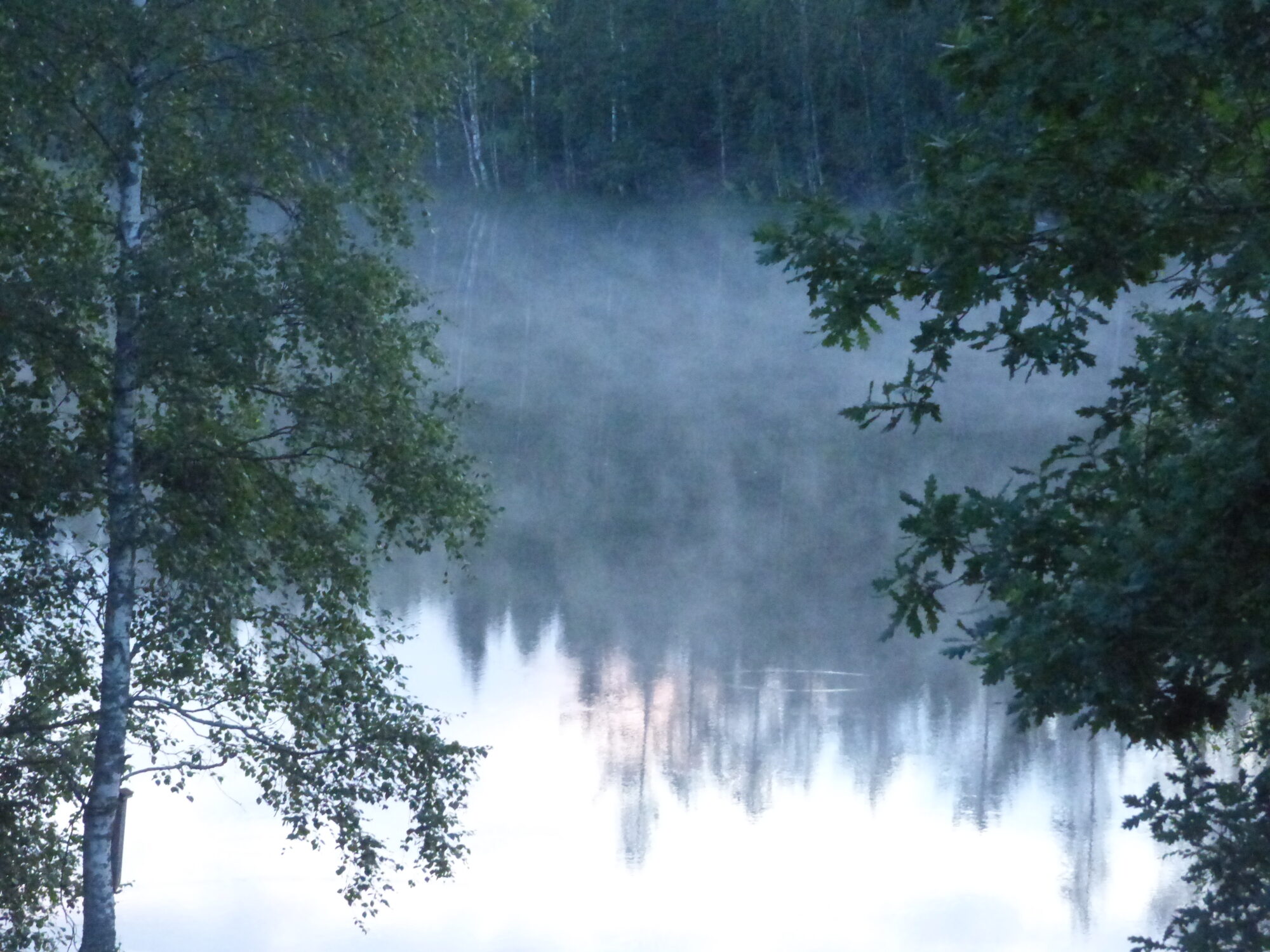 Valokuvaaja: Hannu Rissanen