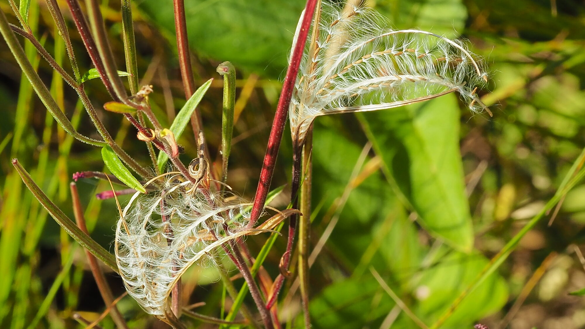 Valokuvaaja: Martti Valtonen