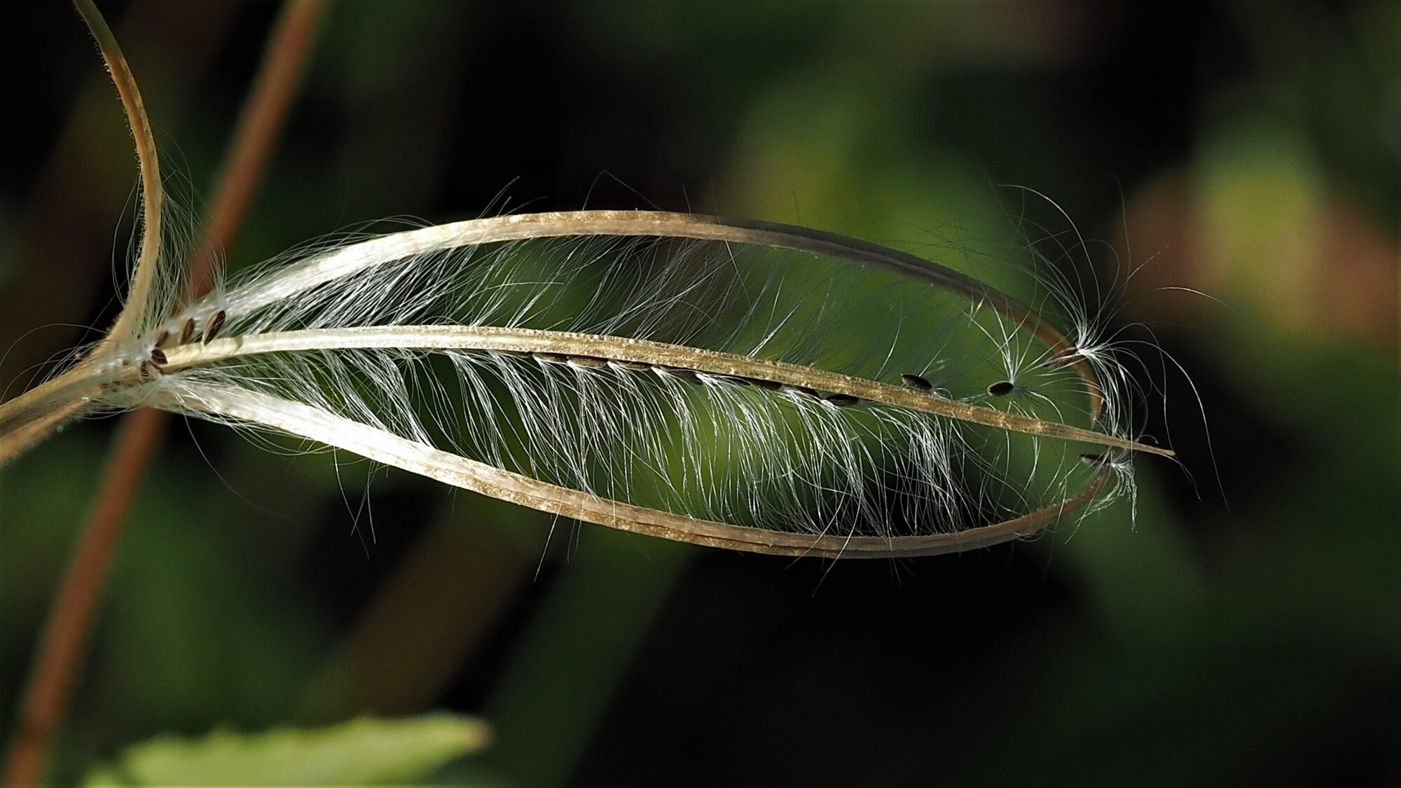 Valokuvaaja: Arja Valtonen