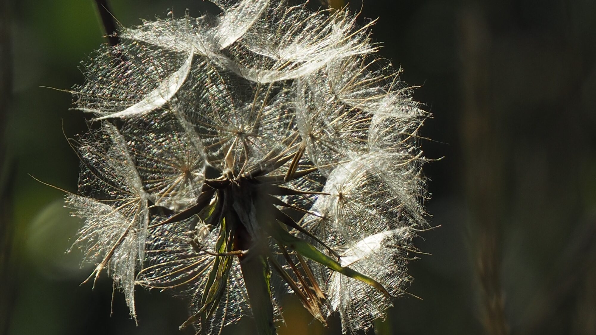 Valokuvaaja: Arja Valtonen