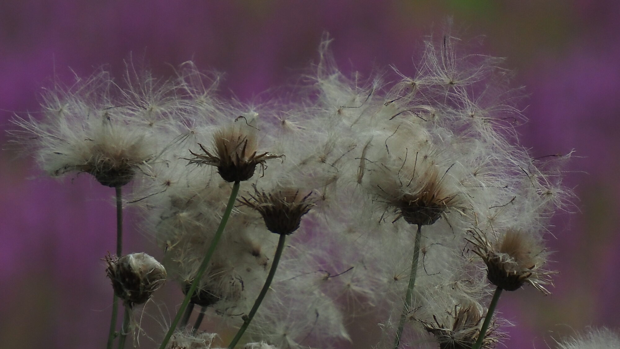 Valokuvaaja: Arja Valtonen