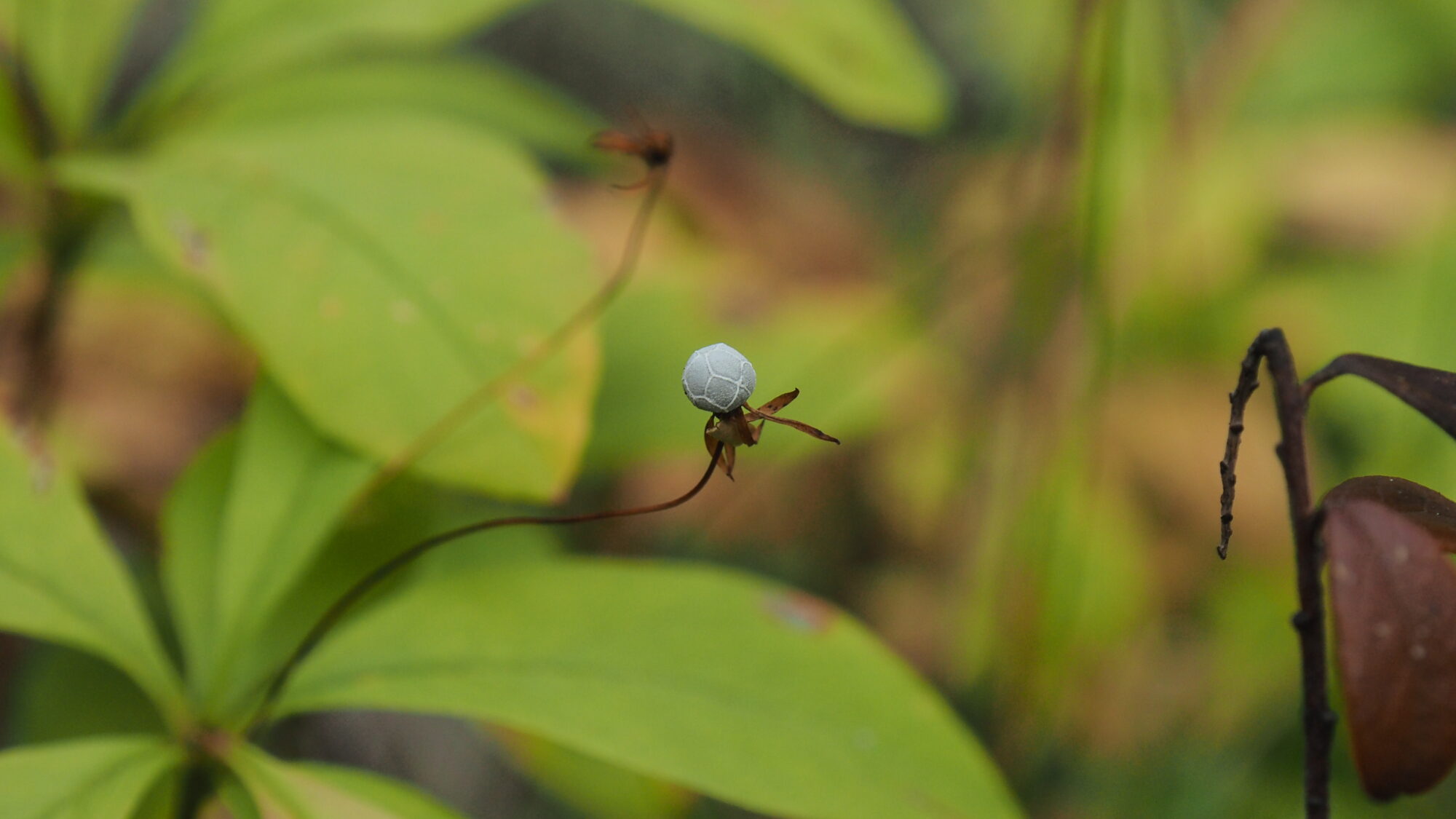 Valokuvaaja: Valtonen Martti