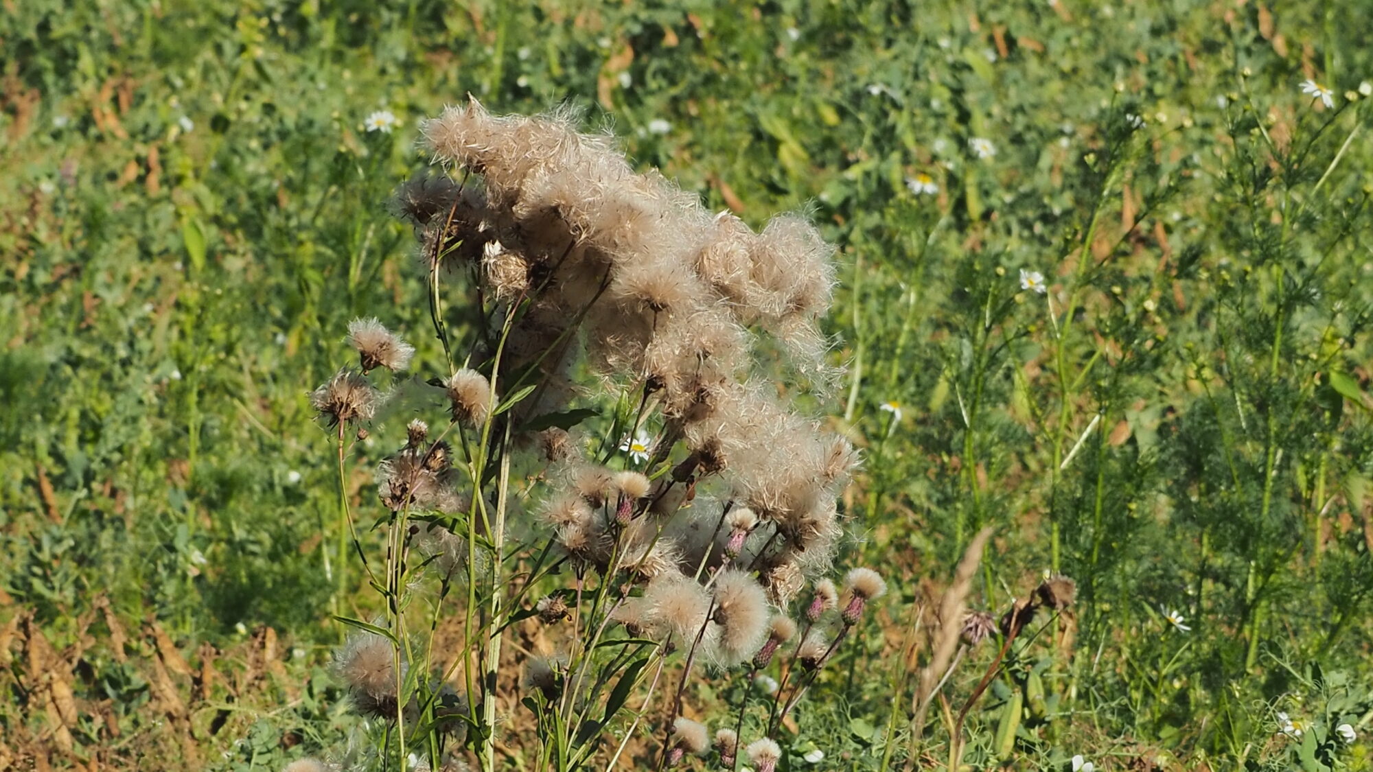 Valokuvaaja: Martti Valtonen Valokuvaaja: Martti Valtonen