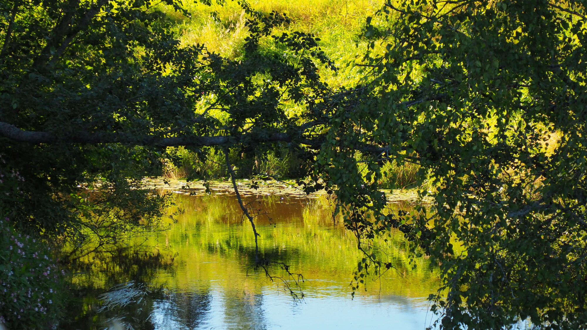 Valokuvaaja: Martti Valtonen