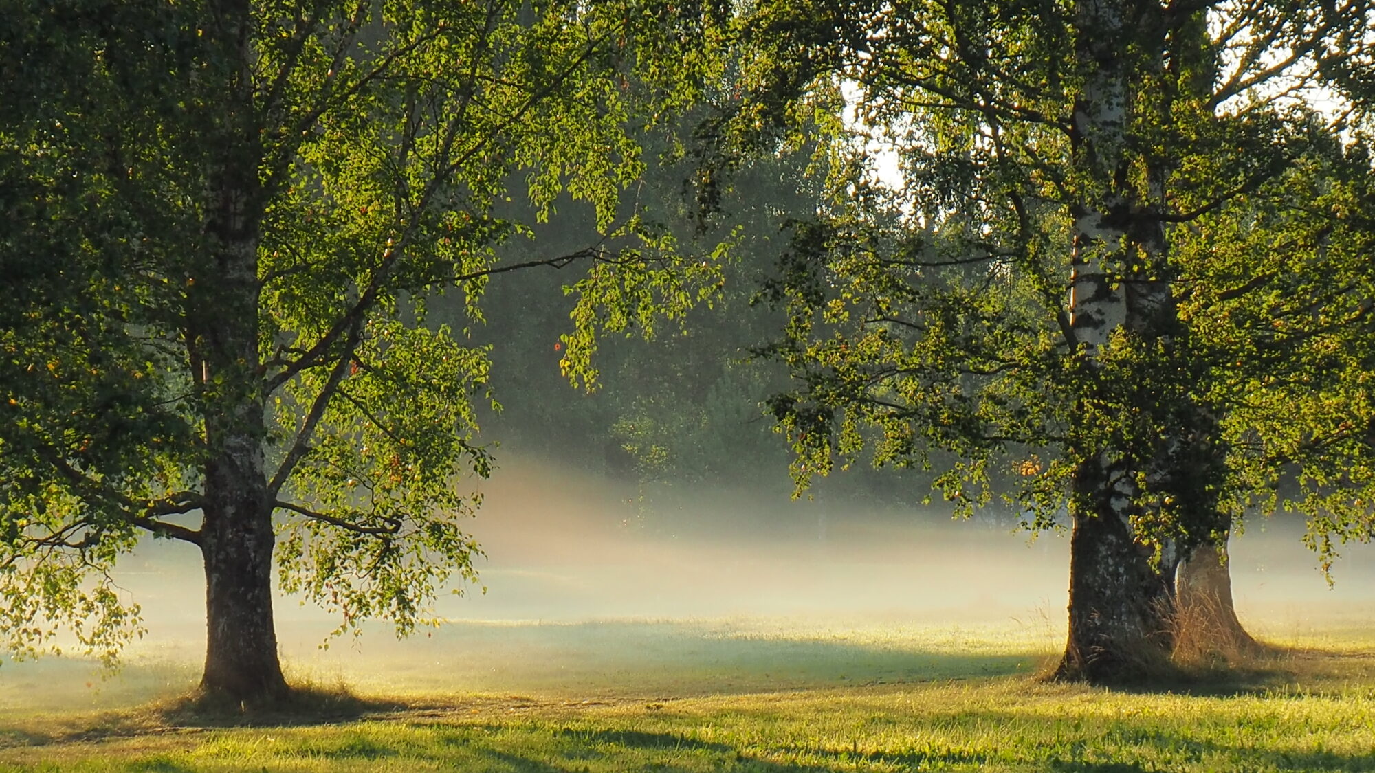 Valokuvaaja: Martti Valtonen
