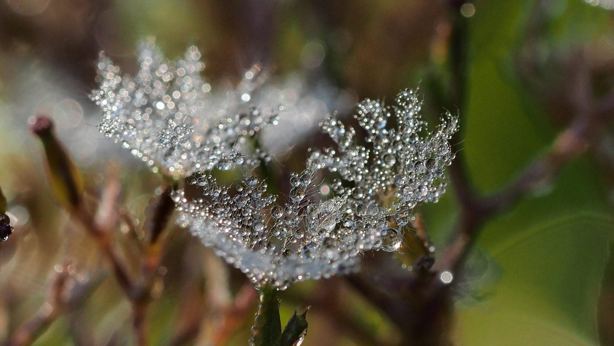 Valokuvaaja: Arja Valtonen