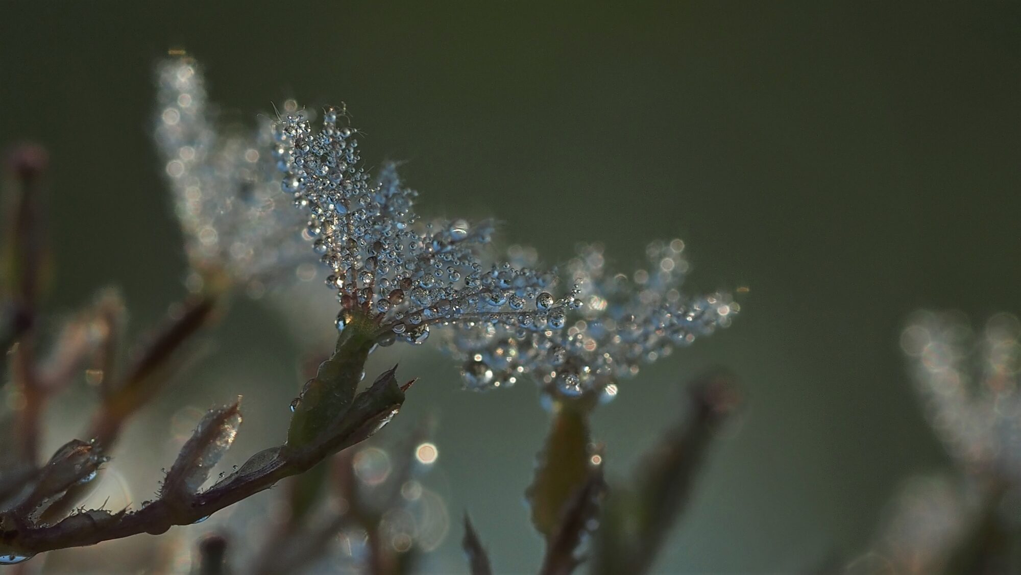 Valokuvaaja: Arja Valtonen