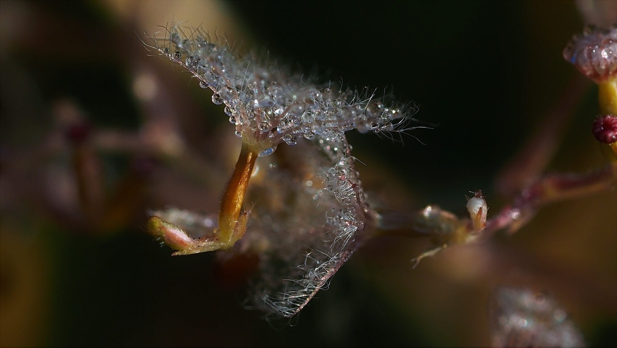 Valokuvaaja: Arja Valtonen