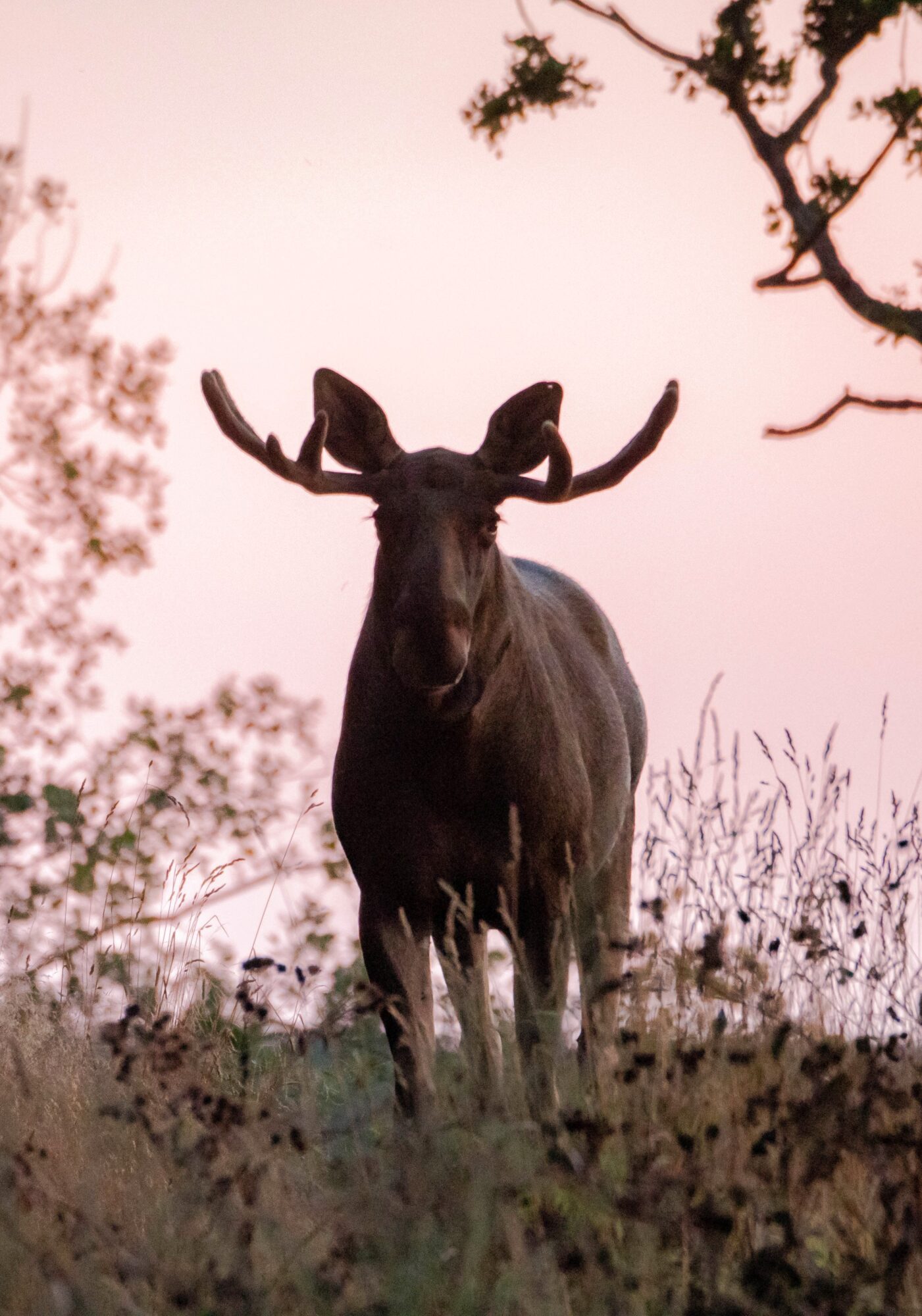 Valokuvaaja: Maria Turunen (@mariiturunen)
