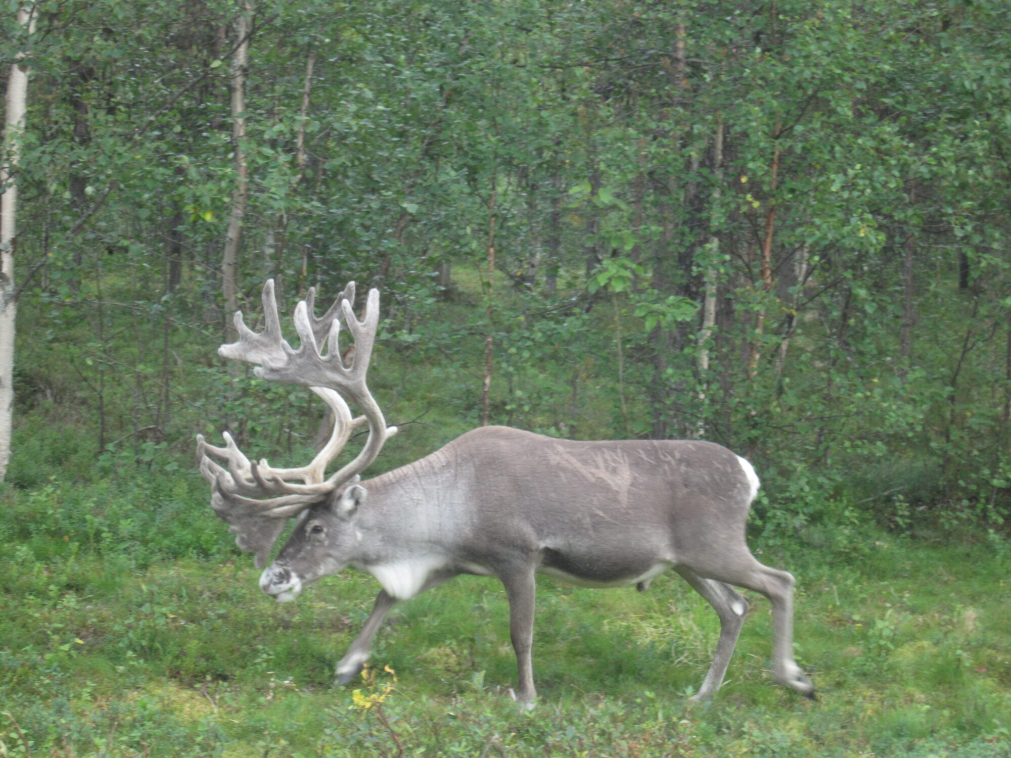 Valokuvaaja: Marita Portin