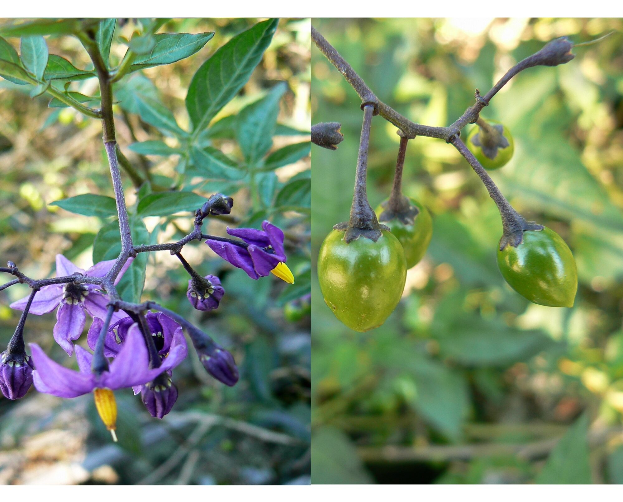 Valokuvaaja: Pekka Heino