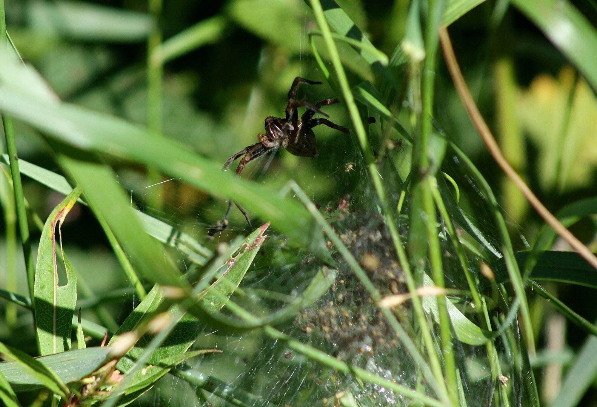 Valokuvaaja: Pirkko Siukonen